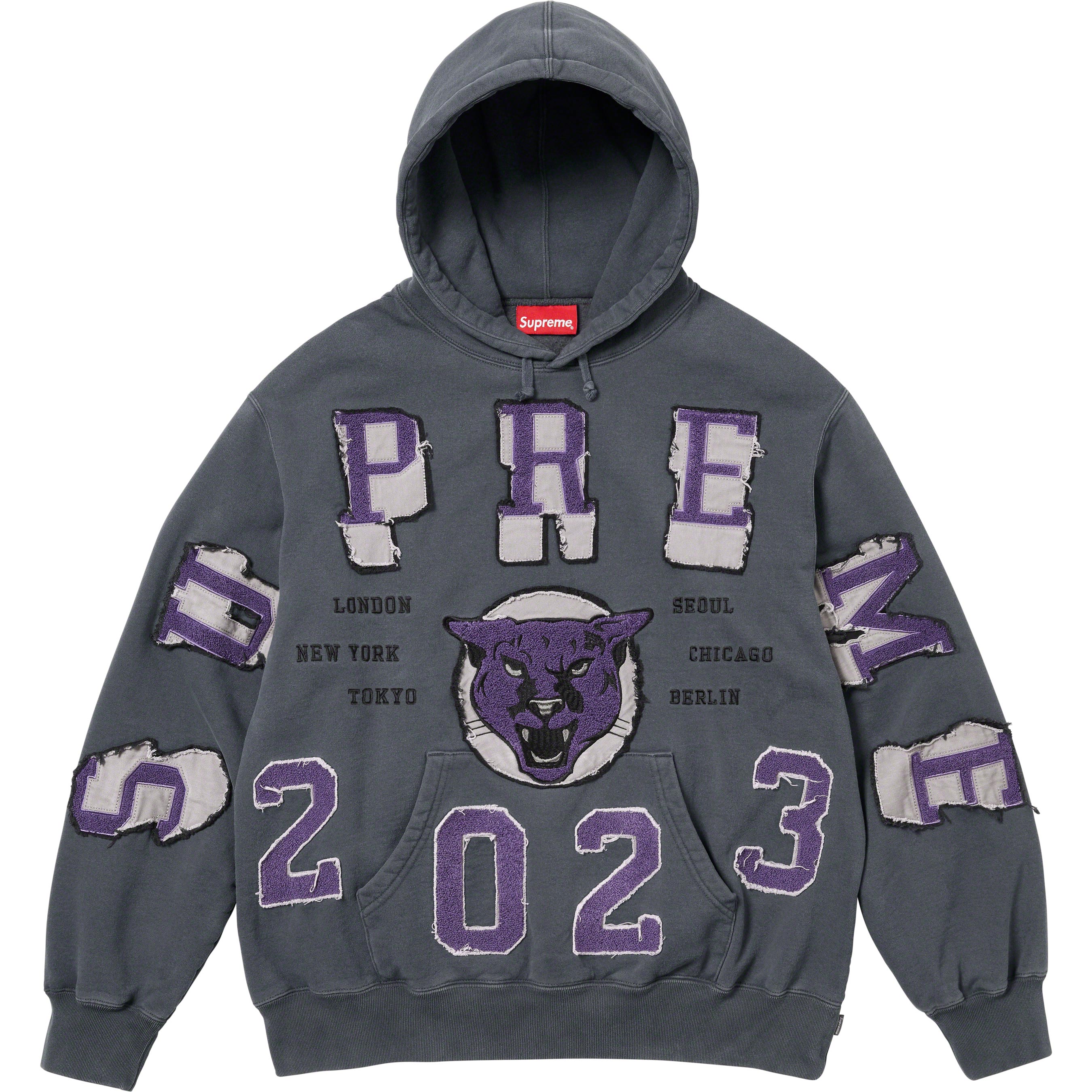 Washed Panther Hooded Sweatshirt