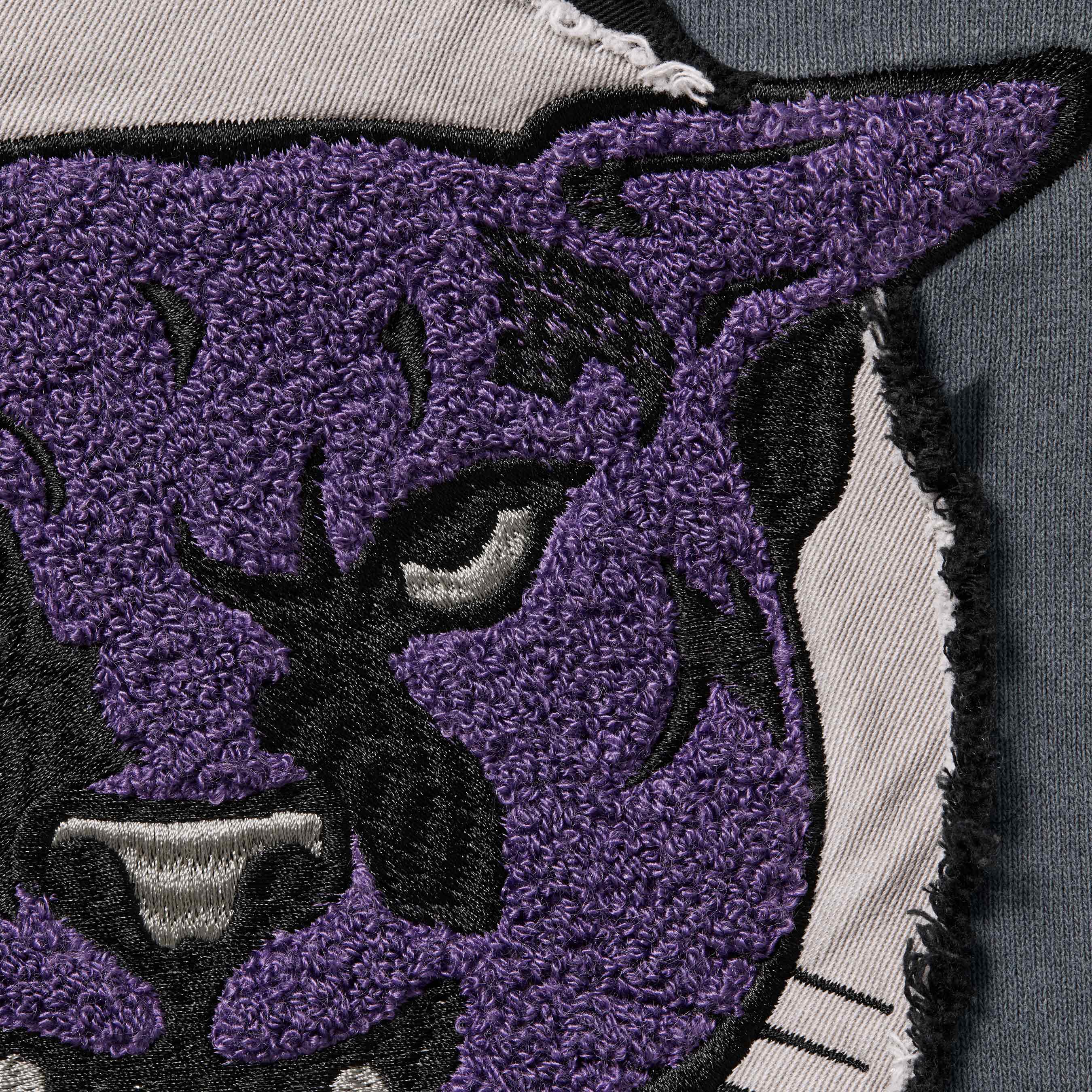 Washed Panther Hooded Sweatshirt