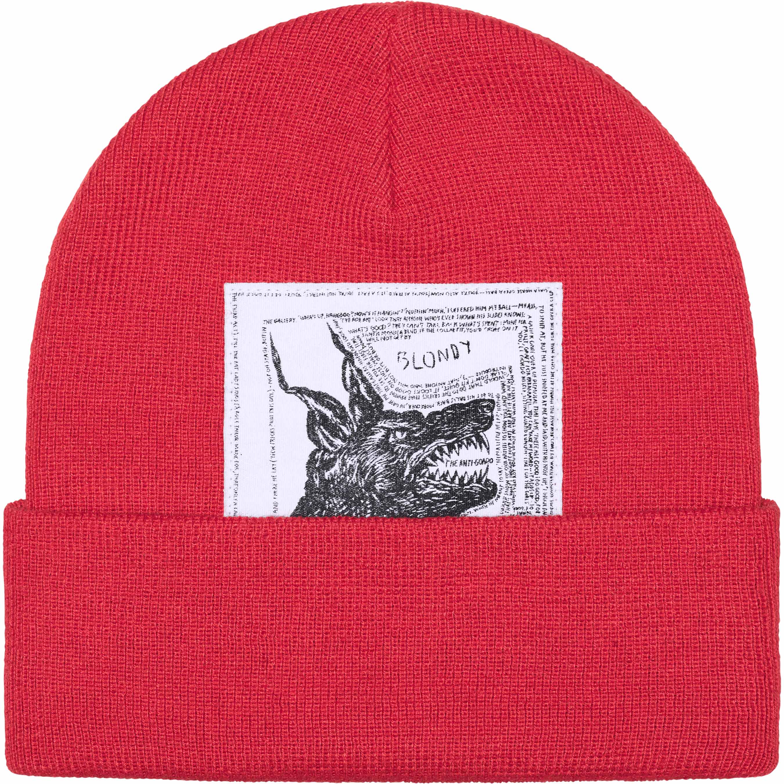 Supreme®/The North Face® Beanie