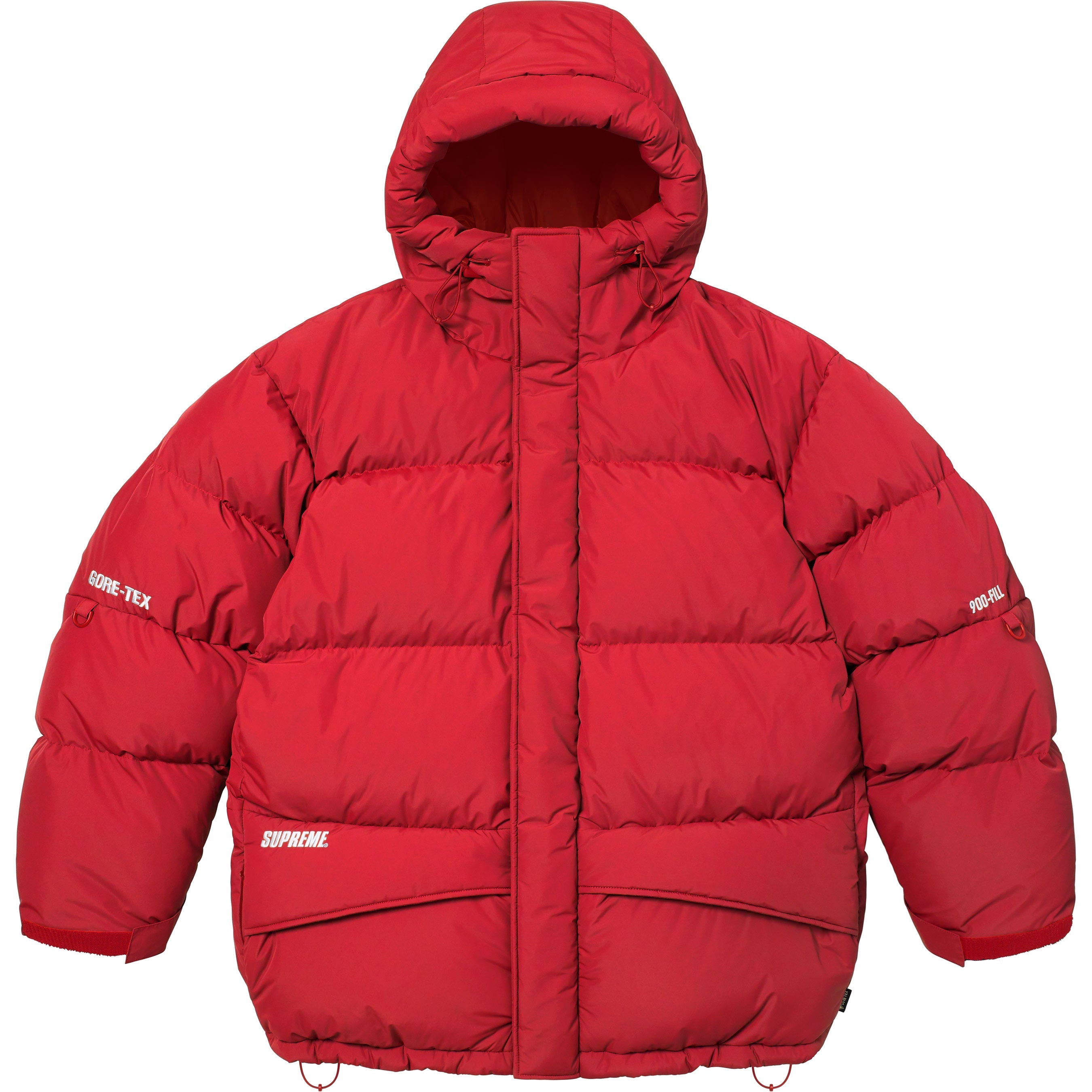 GORE-TEX 900-Fill Down Parka
