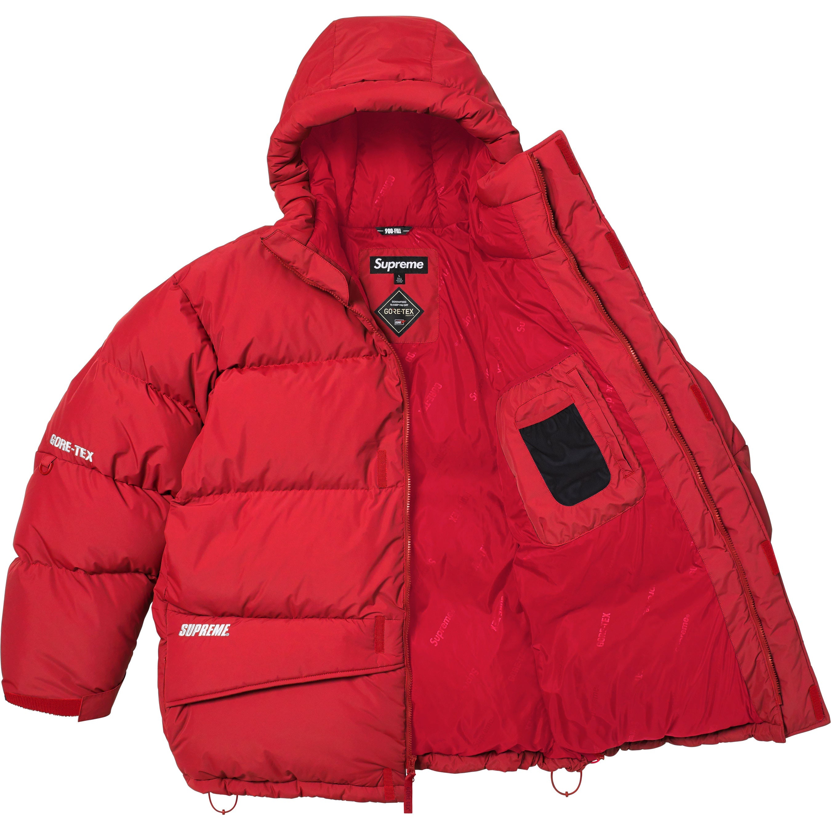 GORE-TEX 900-Fill Down Parka