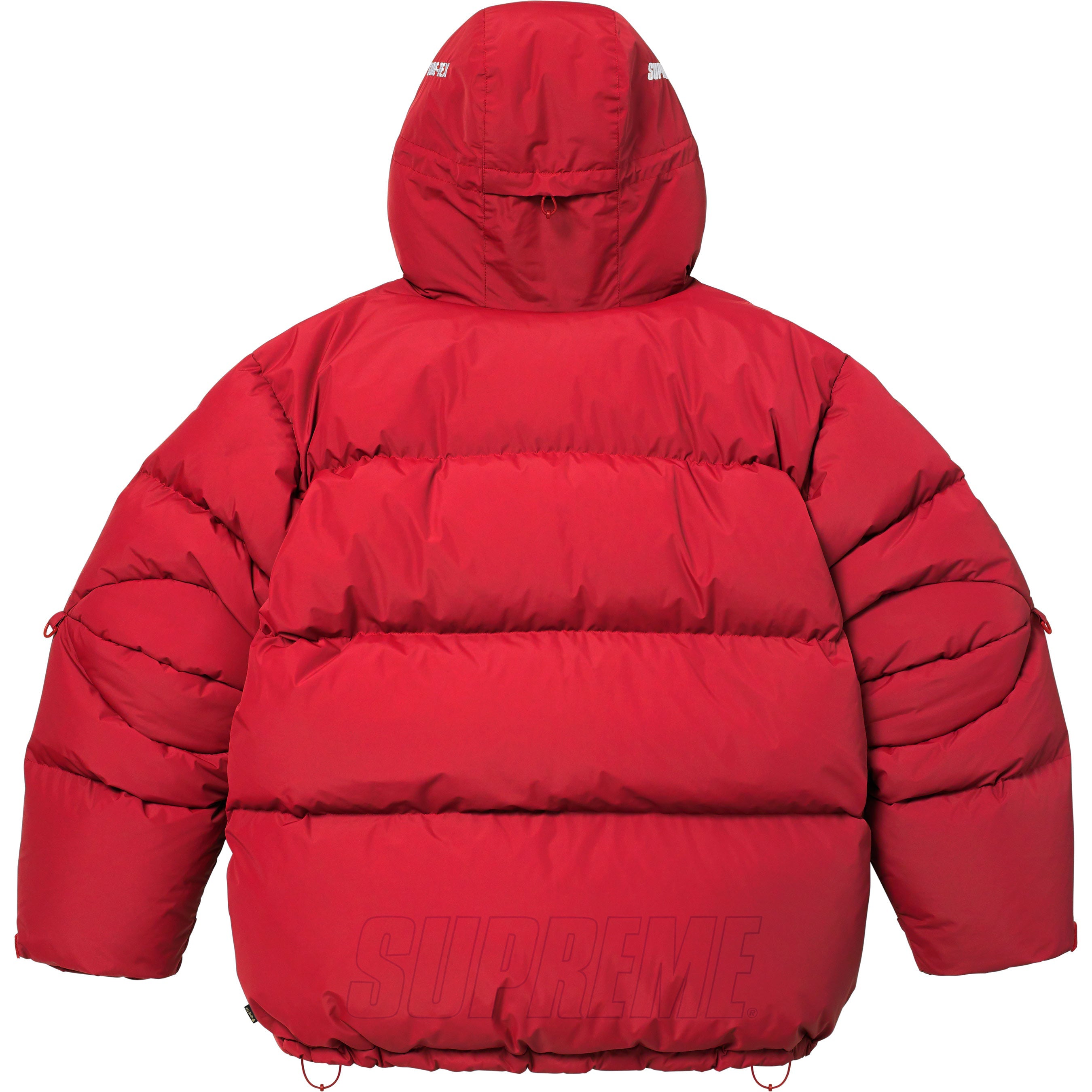 GORE-TEX 900-Fill Down Parka