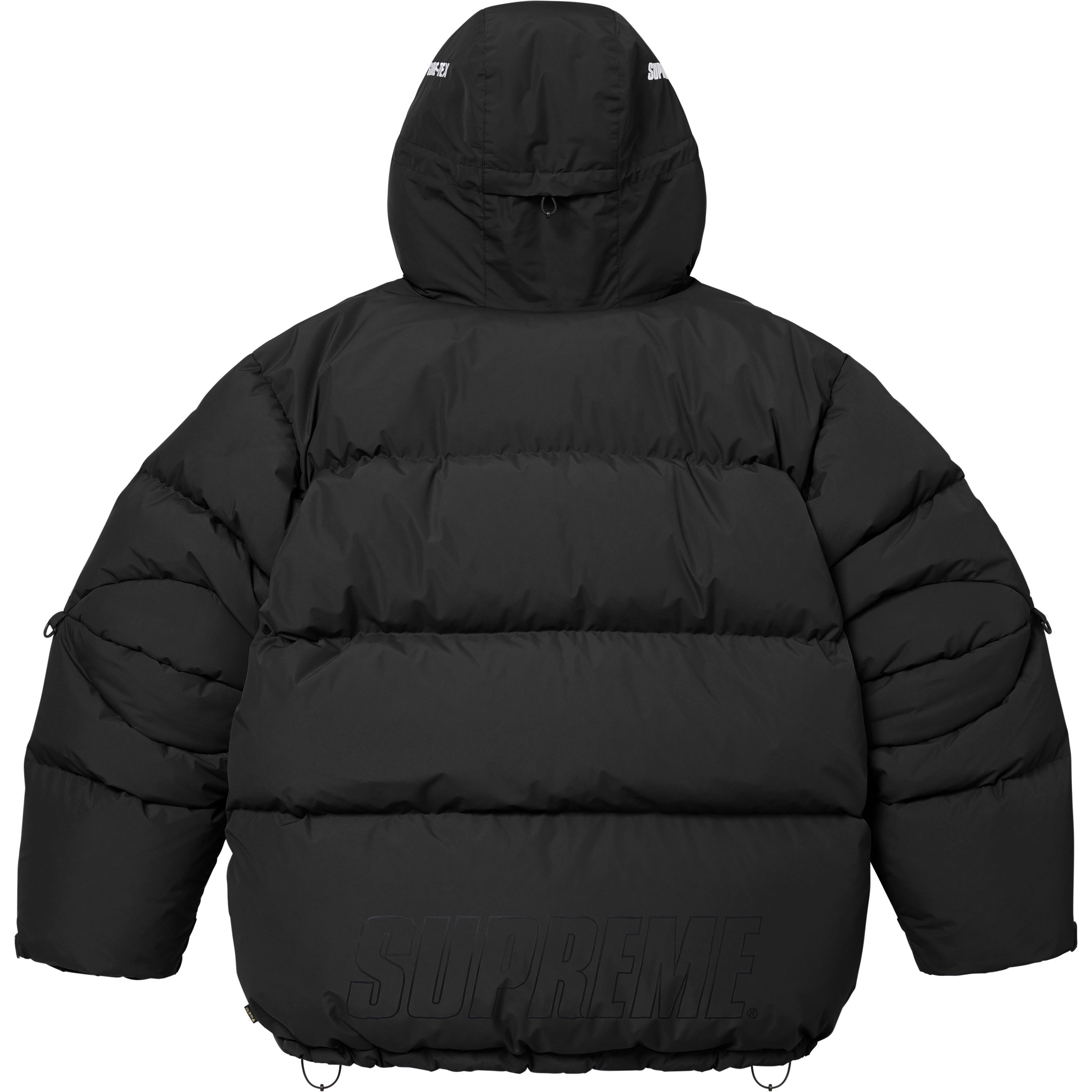 GORE-TEX 900-Fill Down Parka