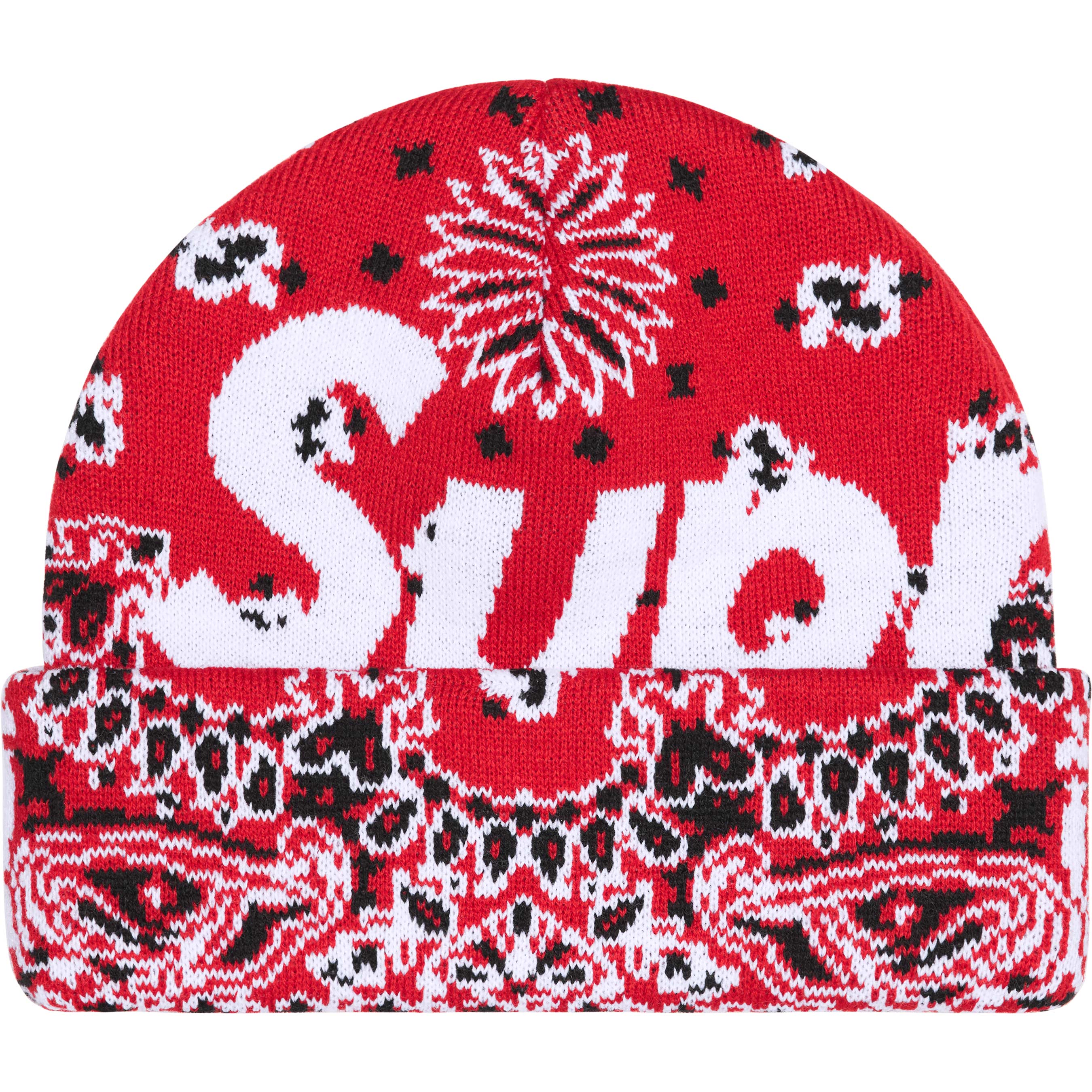 Big Logo Beanie