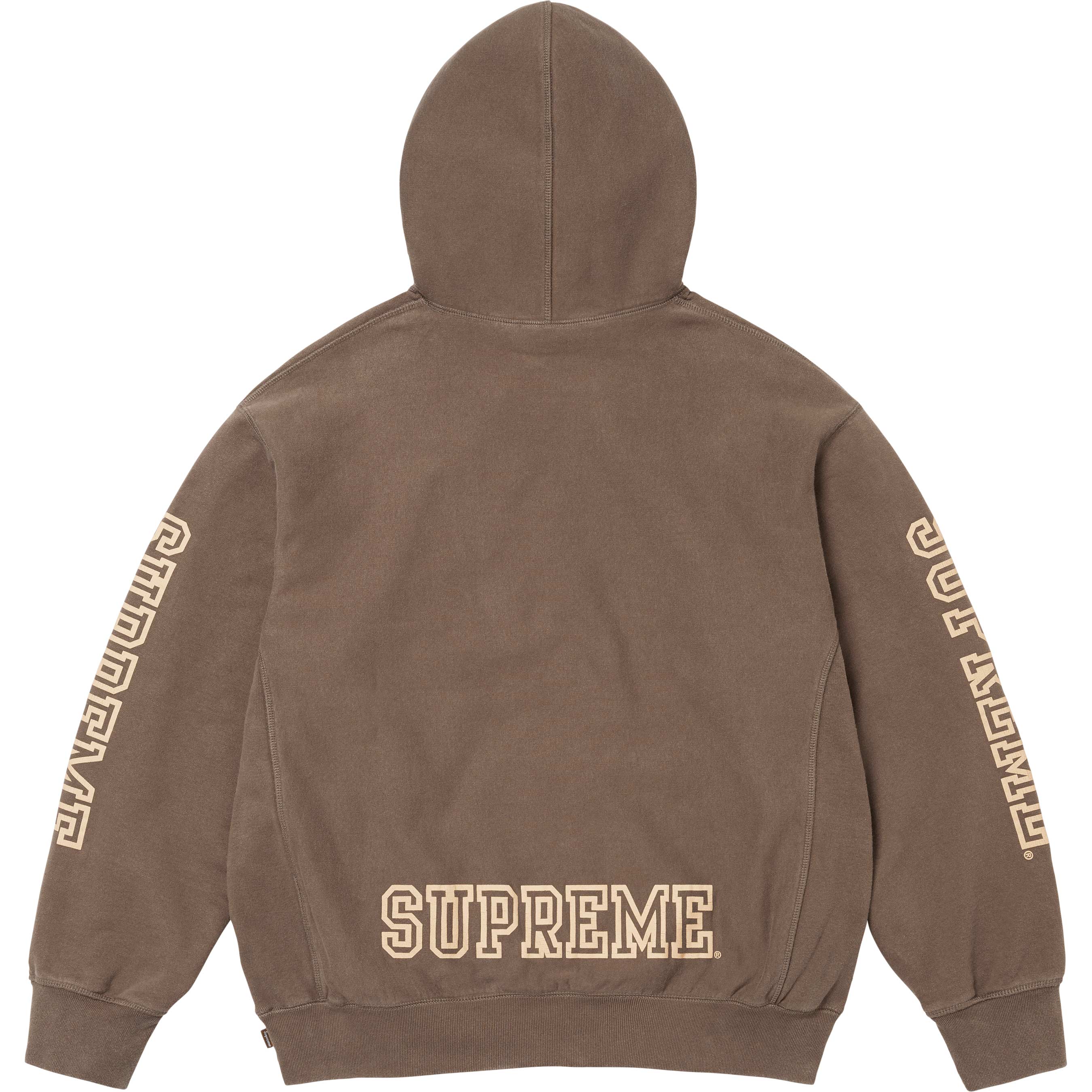 Collegiate Sleeve Hooded Sweatshirt