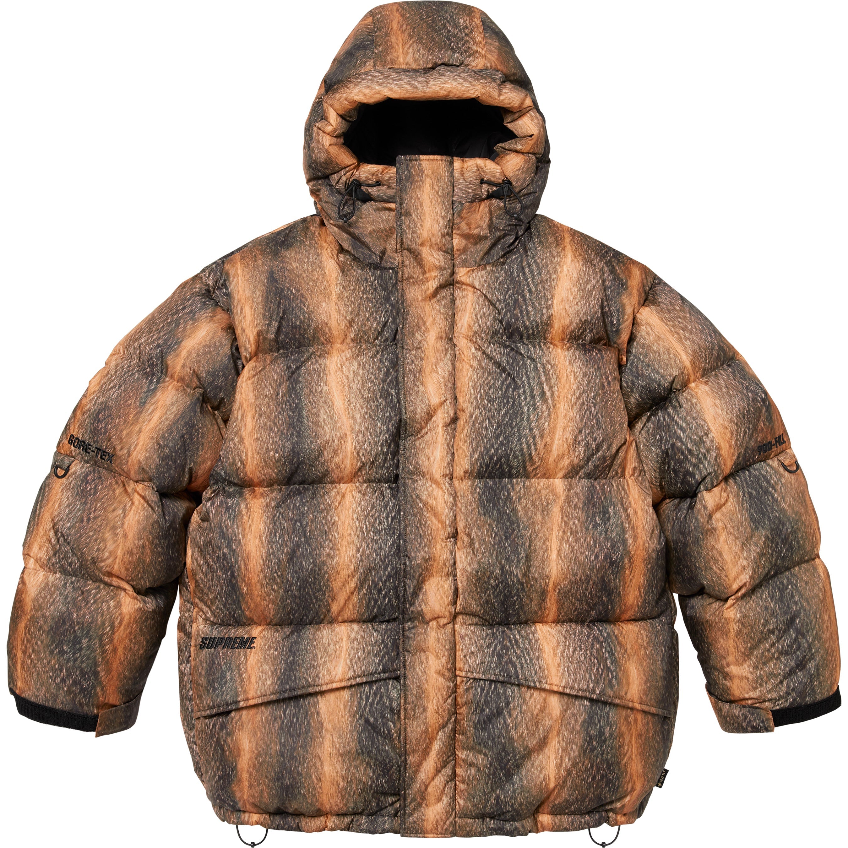 GORE-TEX 900-Fill Down Parka