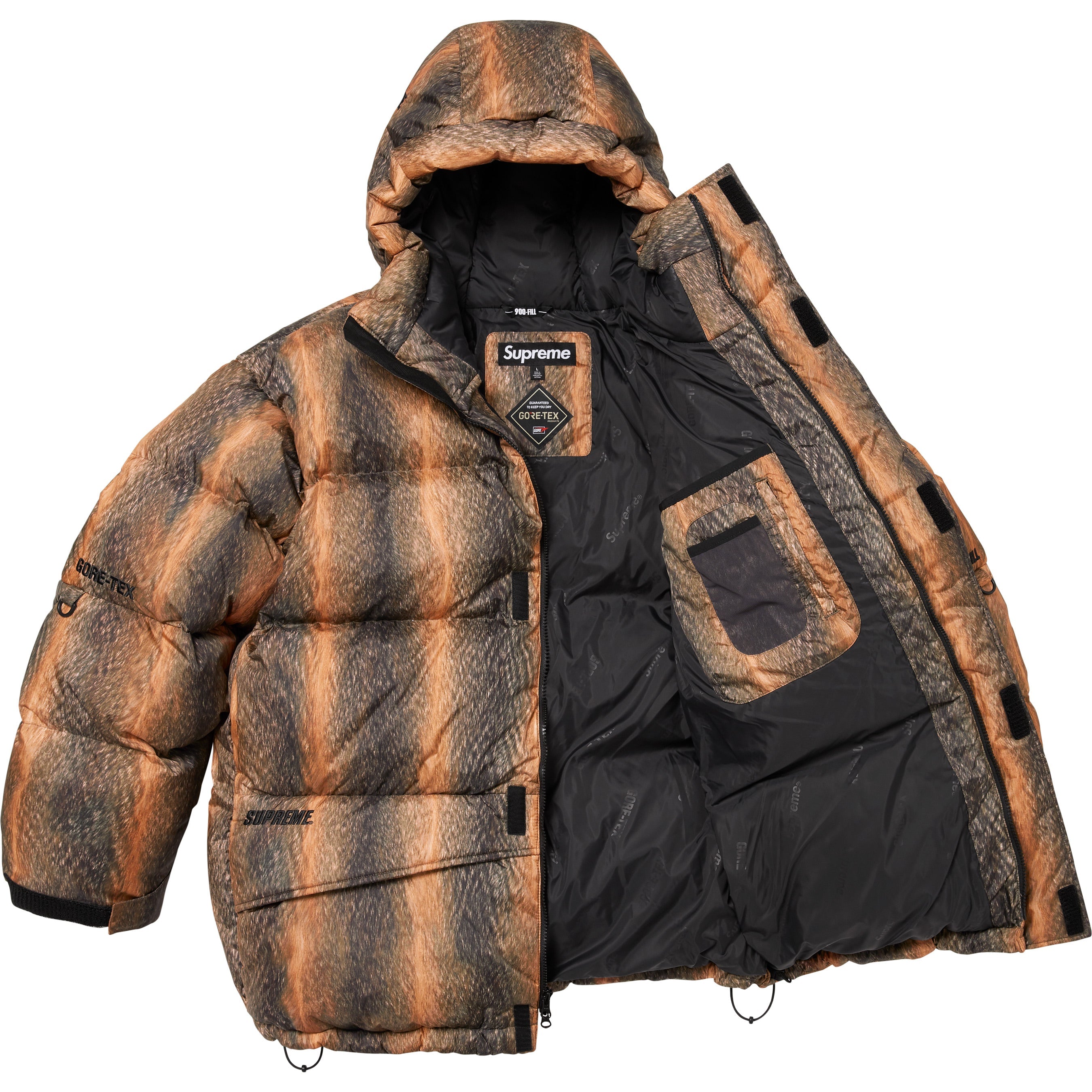 GORE-TEX 900-Fill Down Parka