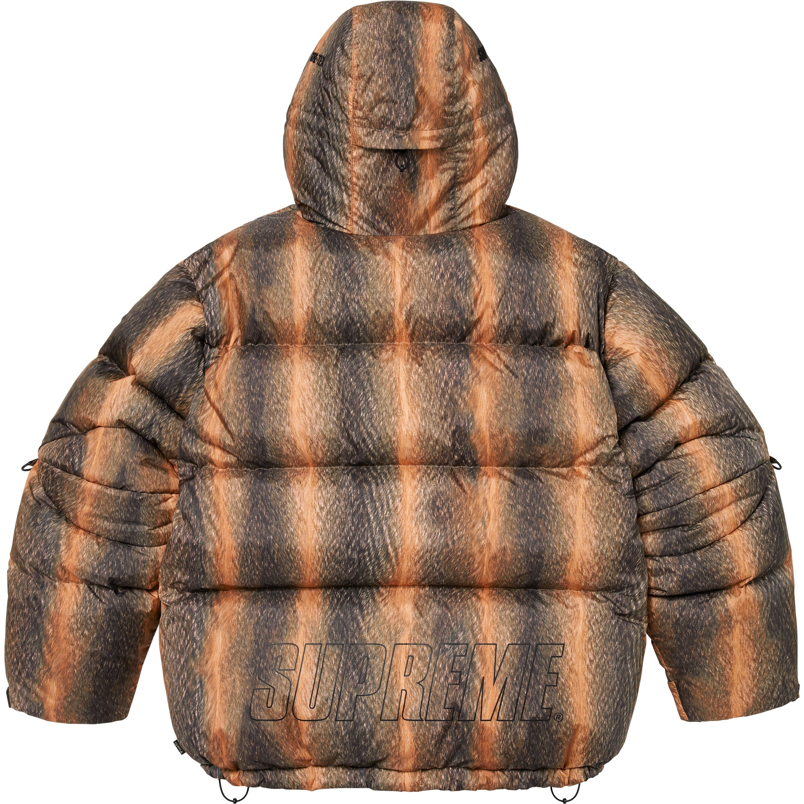 GORE-TEX 900-Fill Down Parka