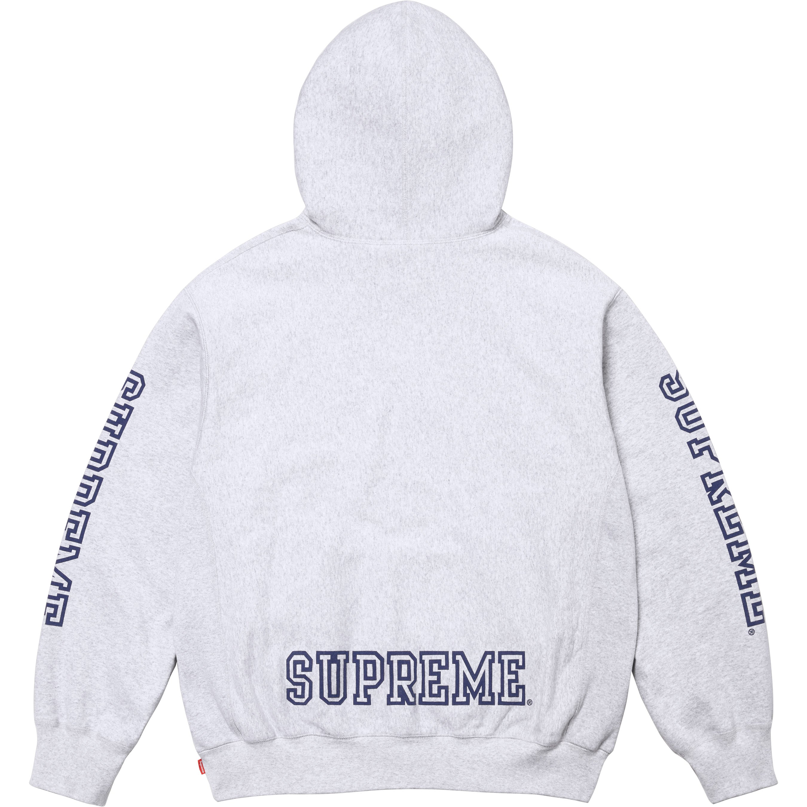Collegiate Sleeve Hooded Sweatshirt
