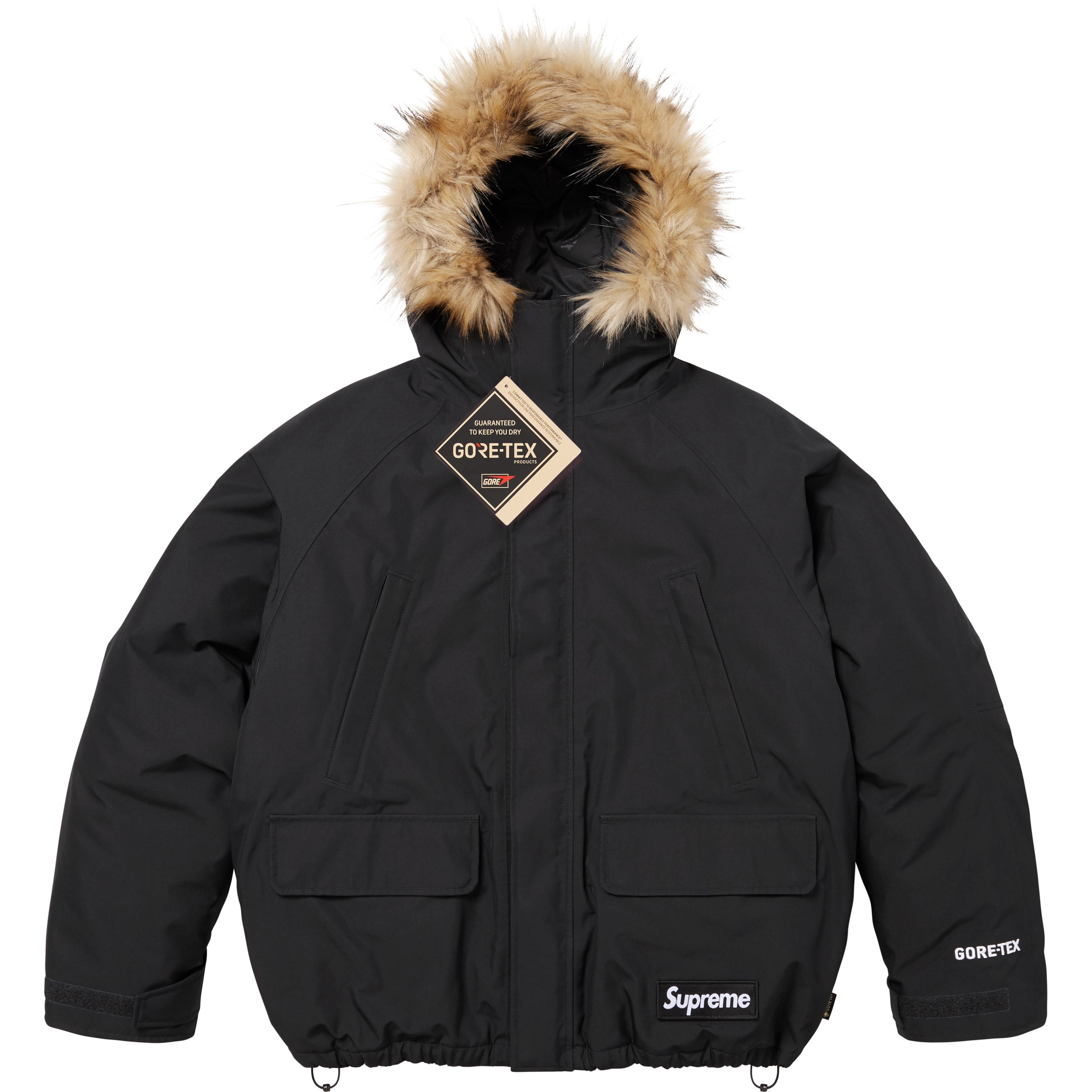 2-in-1 GORE-TEX Parka + Reversible 700-Fill Down Liner Jacket
