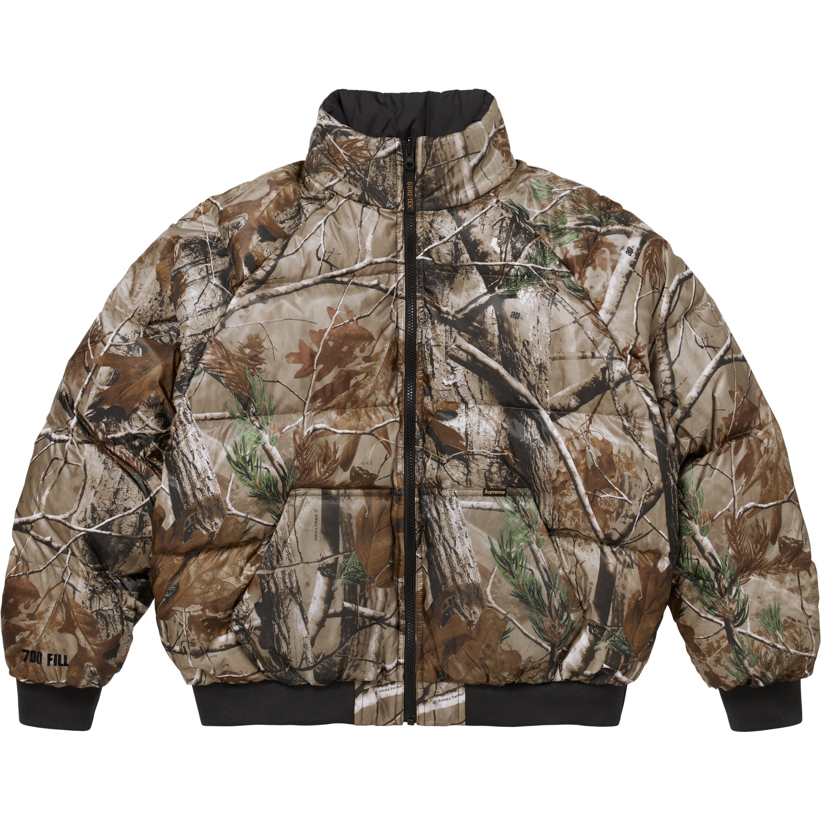 2-in-1 GORE-TEX Parka + Reversible 700-Fill Down Liner Jacket