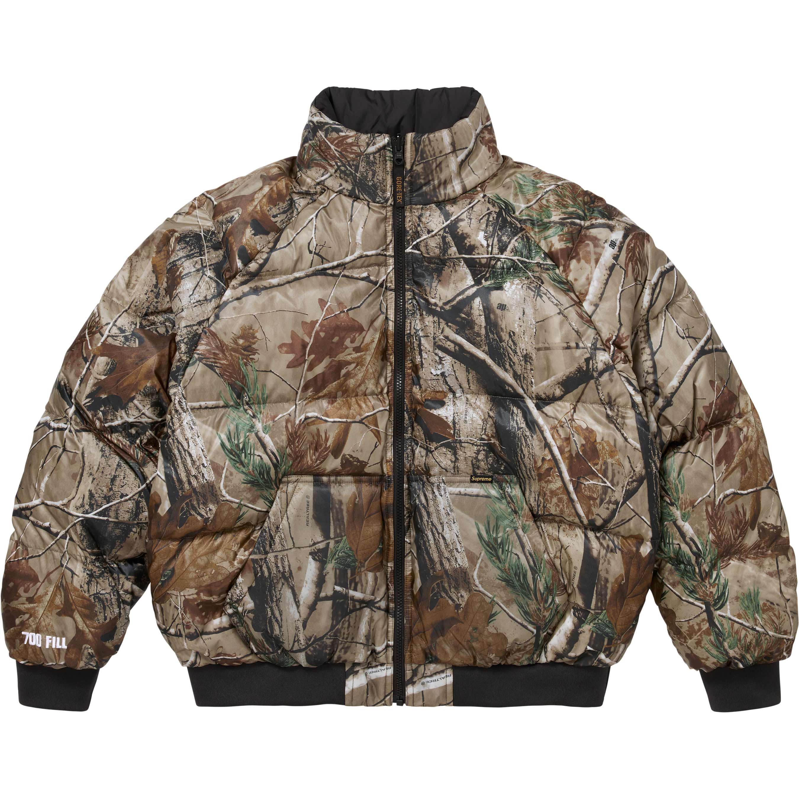 2-in-1 GORE-TEX Parka + Reversible 700-Fill Down Liner Jacket