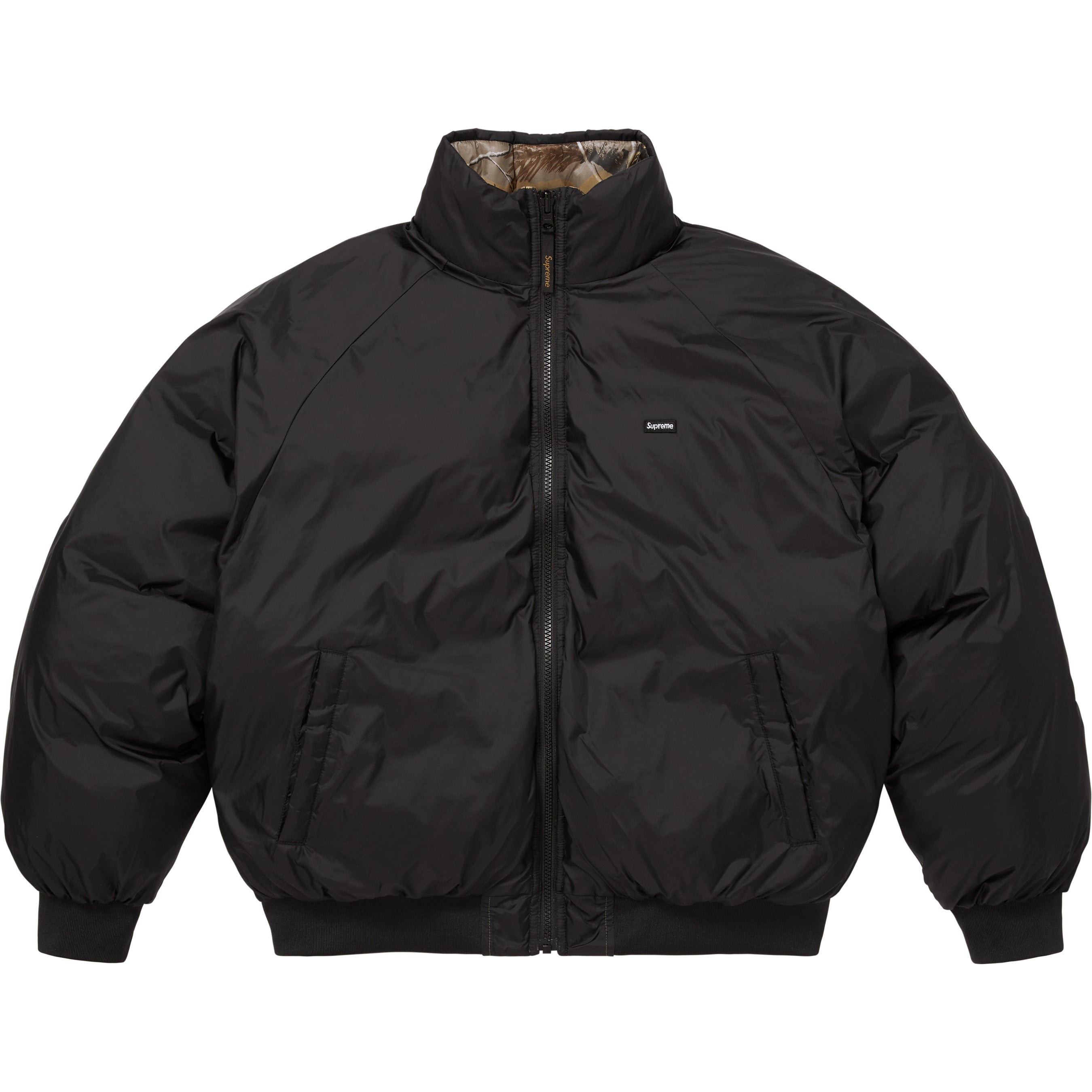 2-in-1 GORE-TEX Parka + Reversible 700-Fill Down Liner Jacket