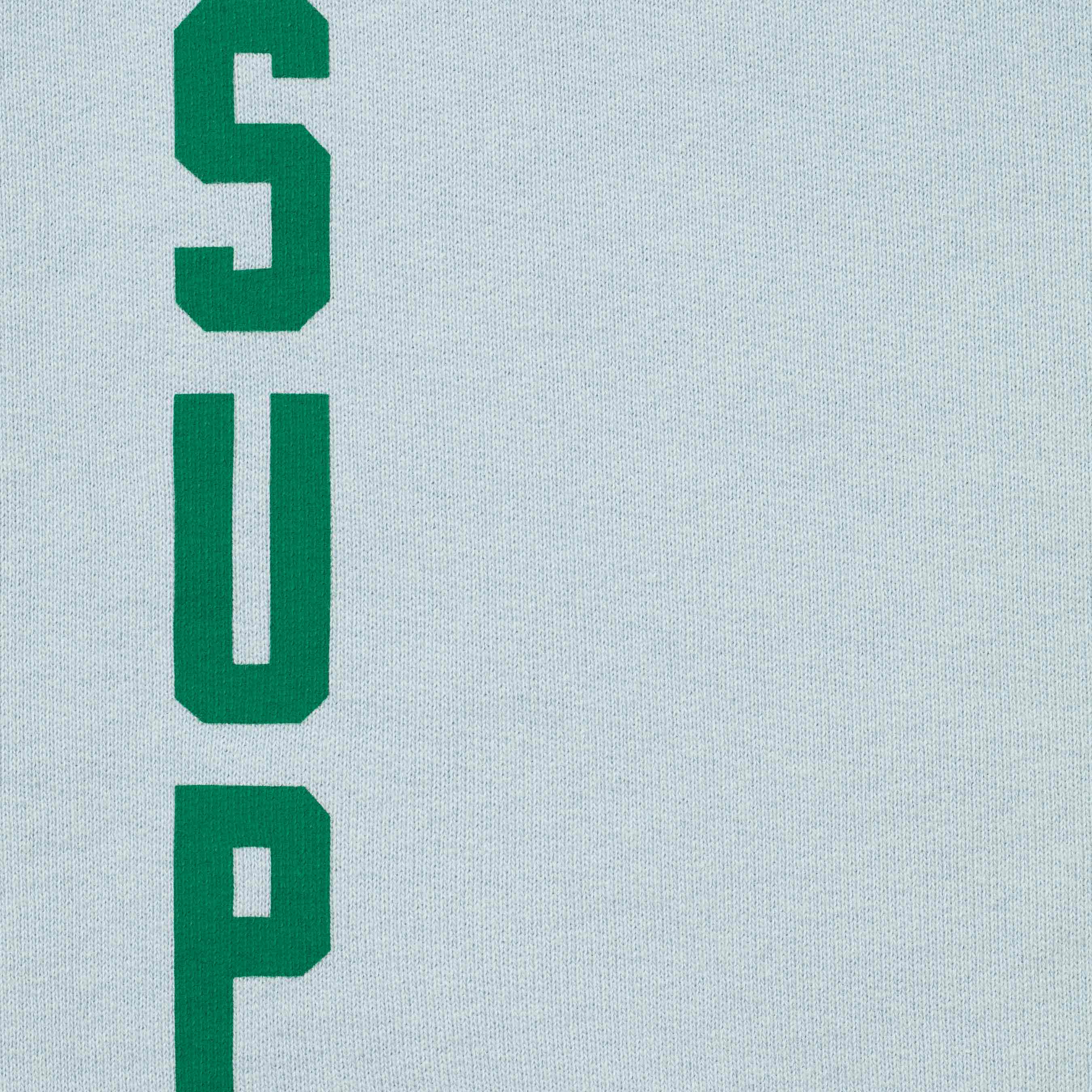 Washed Logo Hooded Sweatshirt