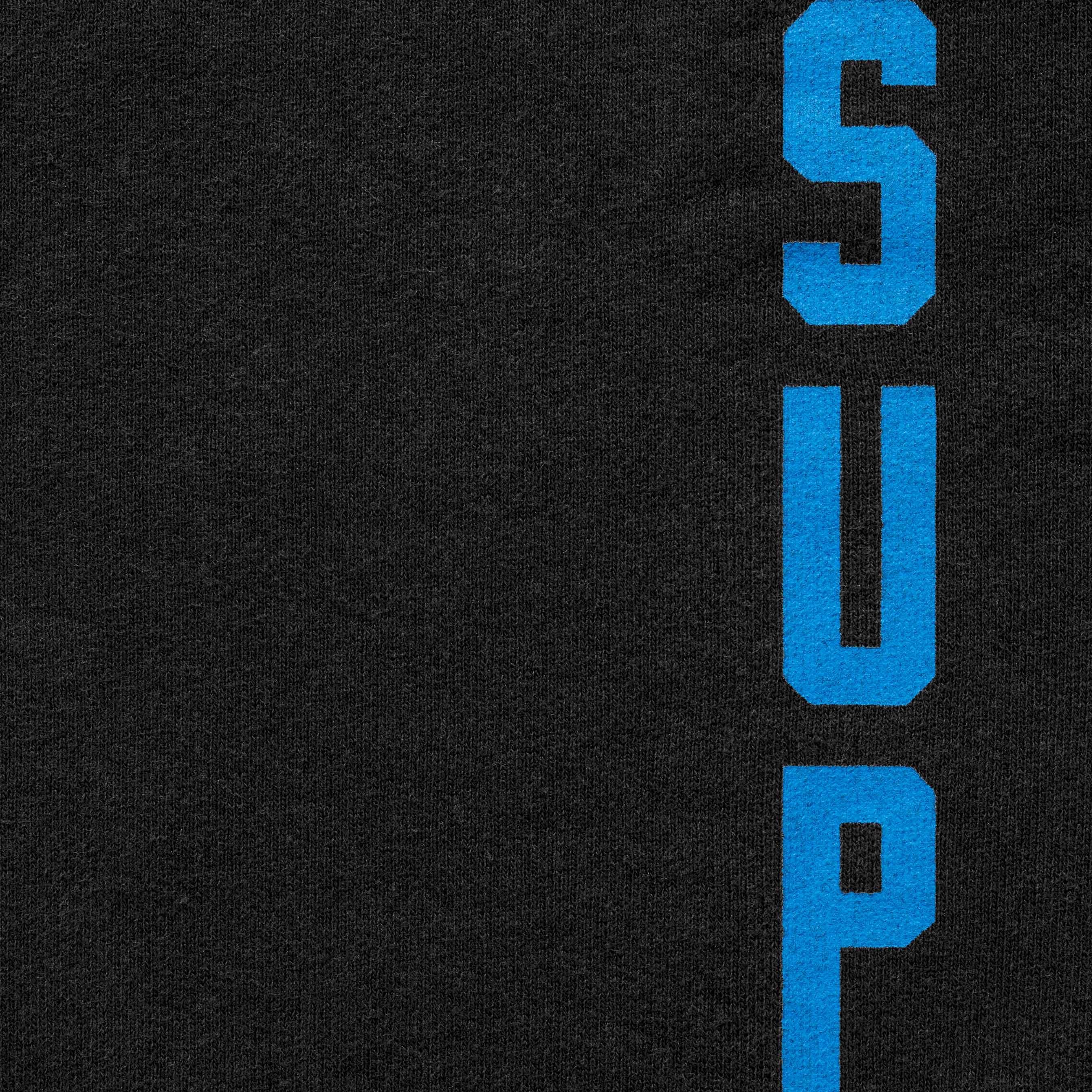Washed Logo Sweatpant