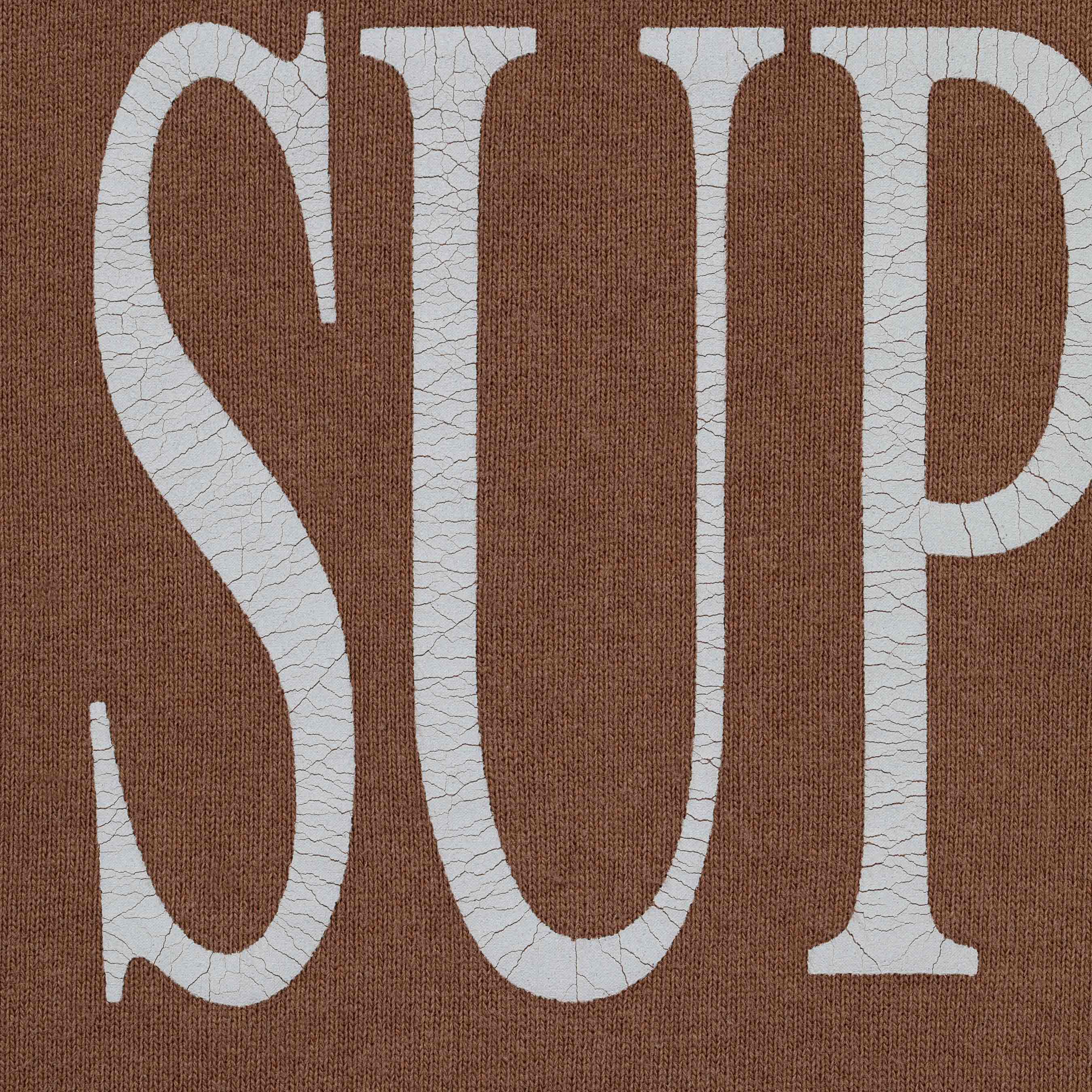 Capital Hooded Sweatshirt