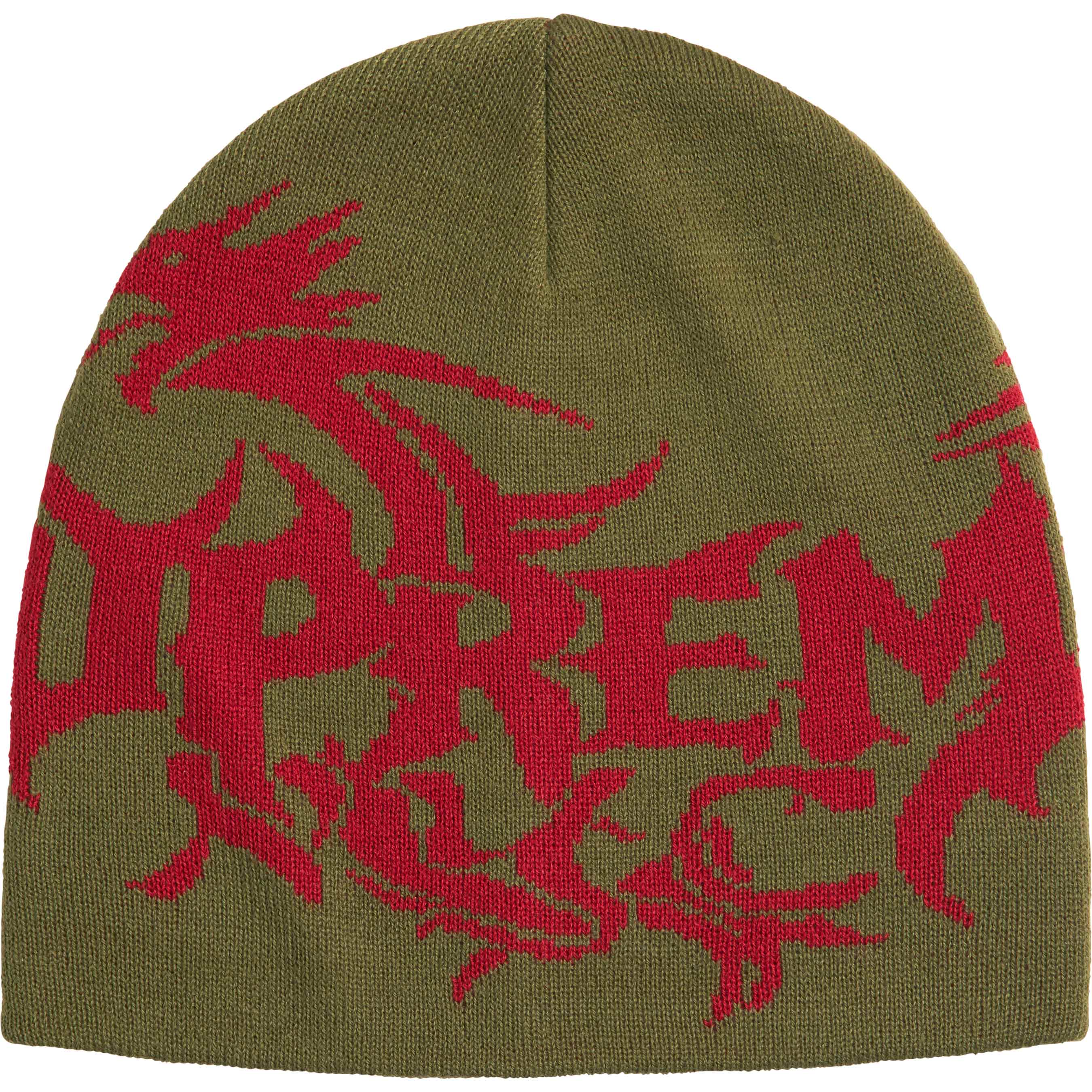 Dragon Beanie