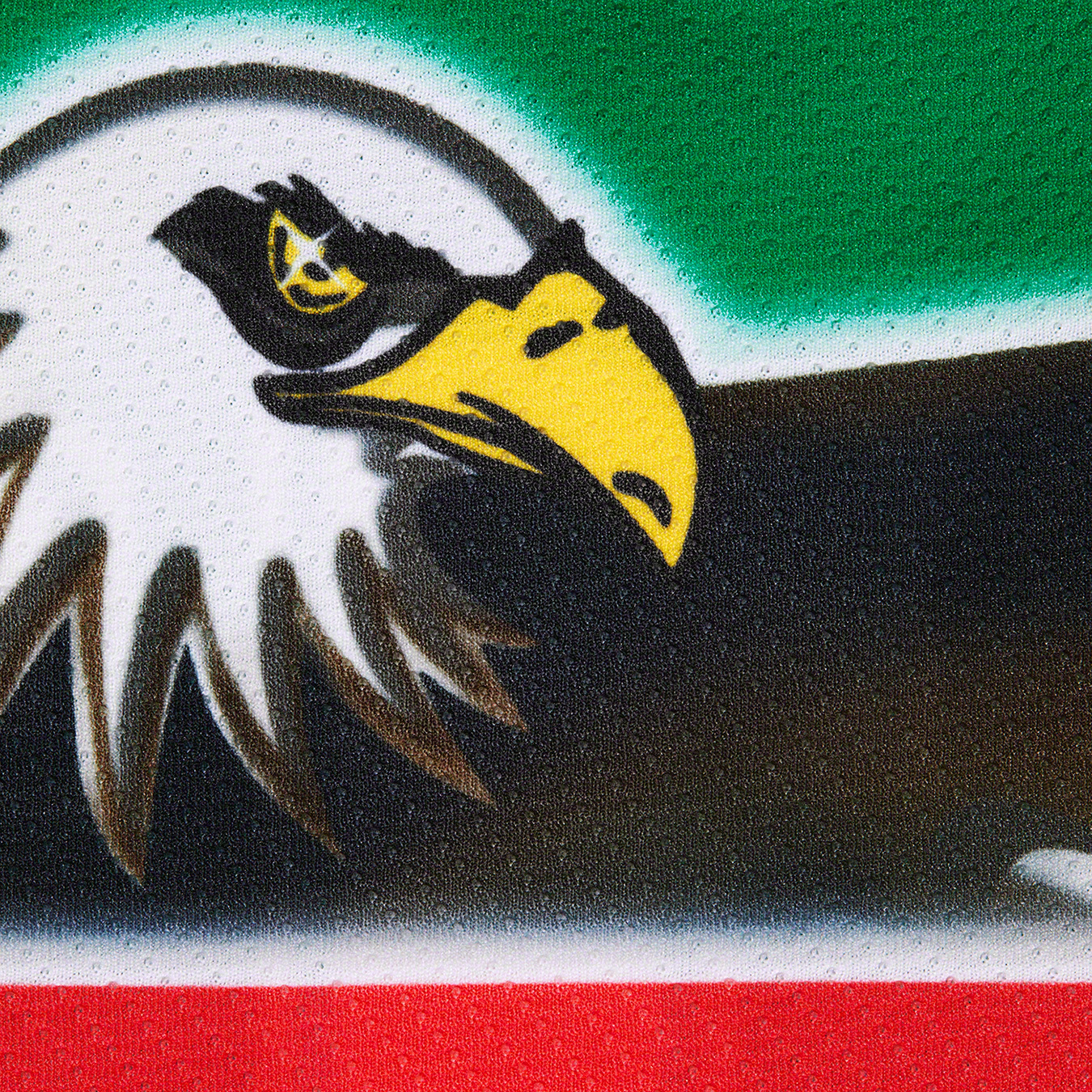 Eagle Hockey Jersey