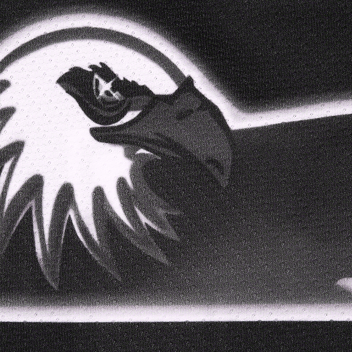 Eagle Hockey Jersey
