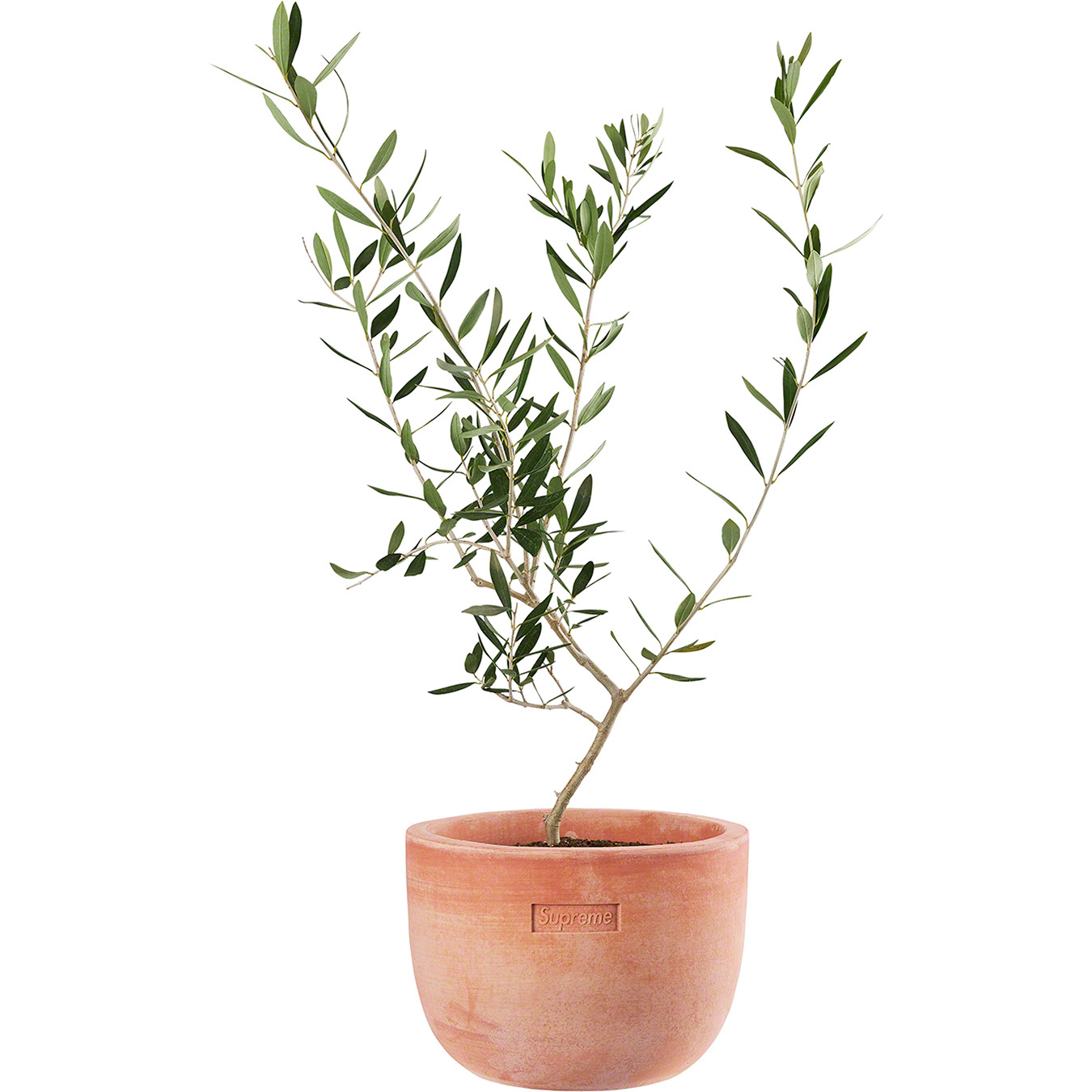 Supreme®/Poggi Ugo Large Planter