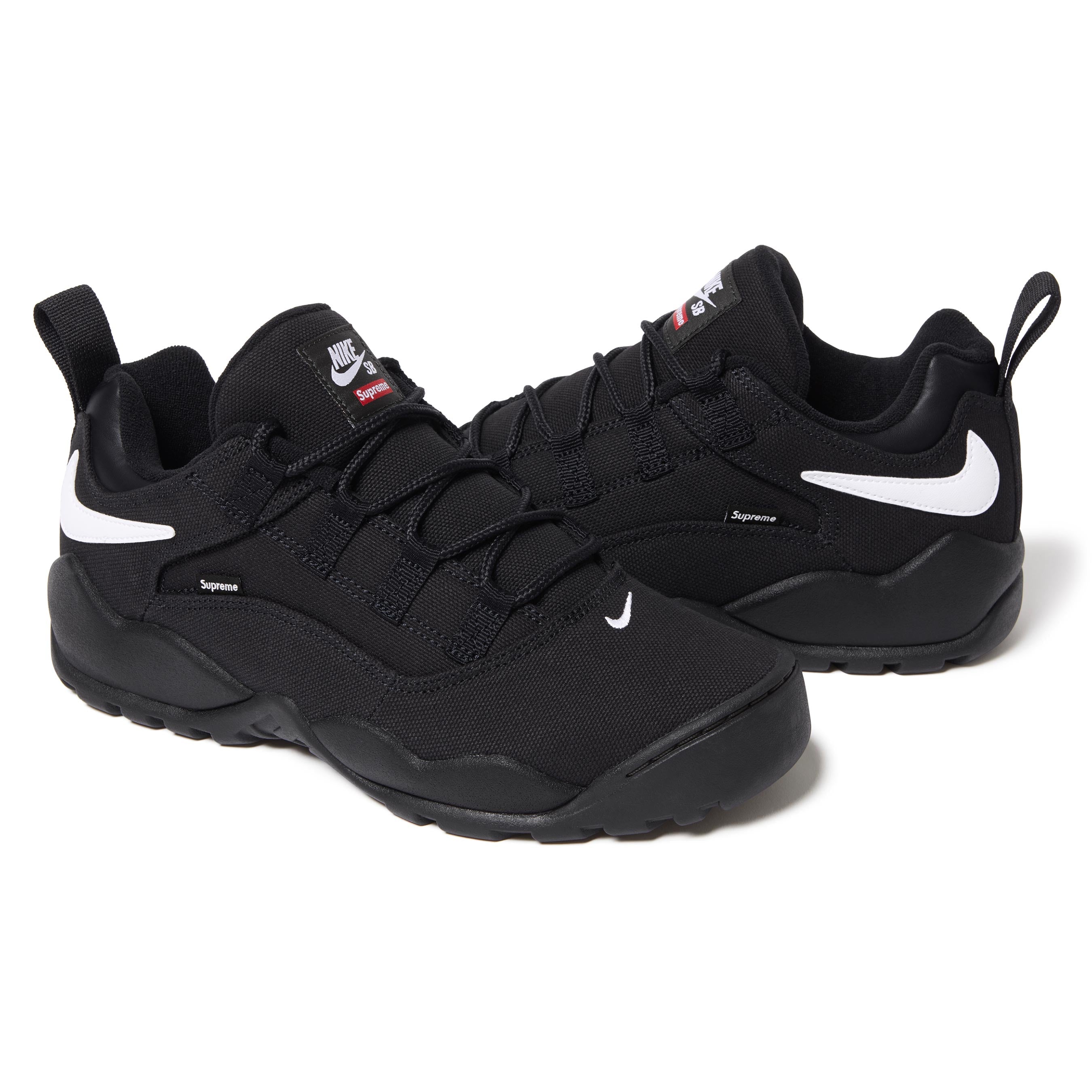 Supreme®/Nike SB Darwin Low