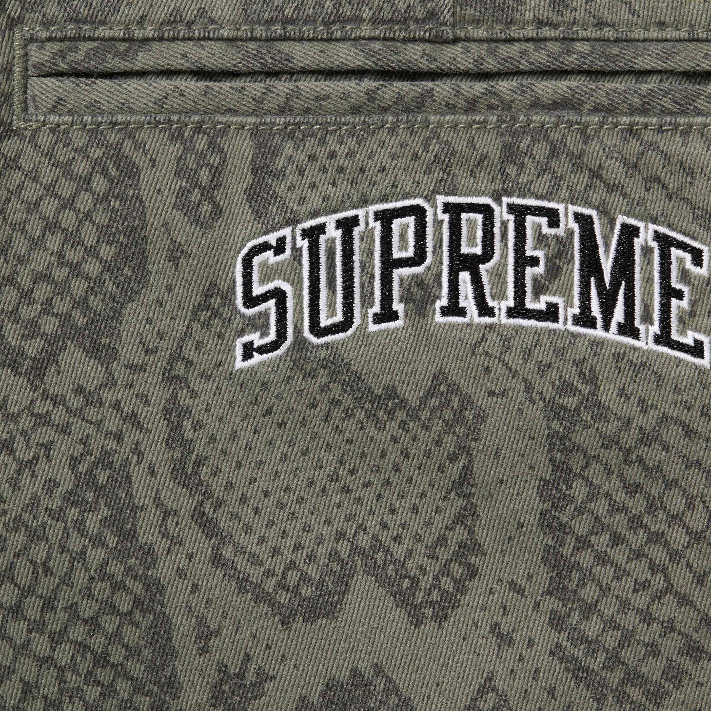 Snake Print Chino Pant