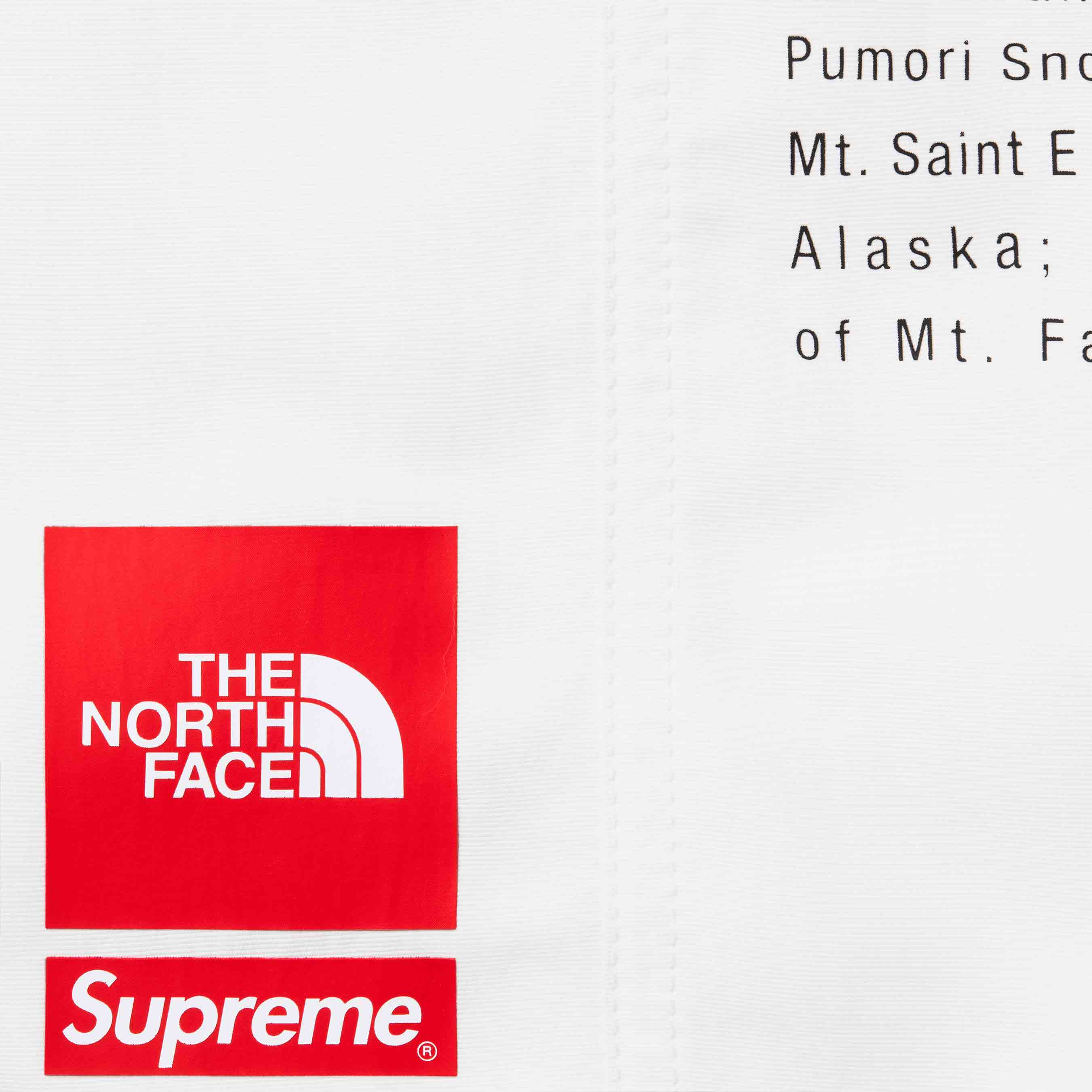 Supreme®/The North Face® Nylon Short