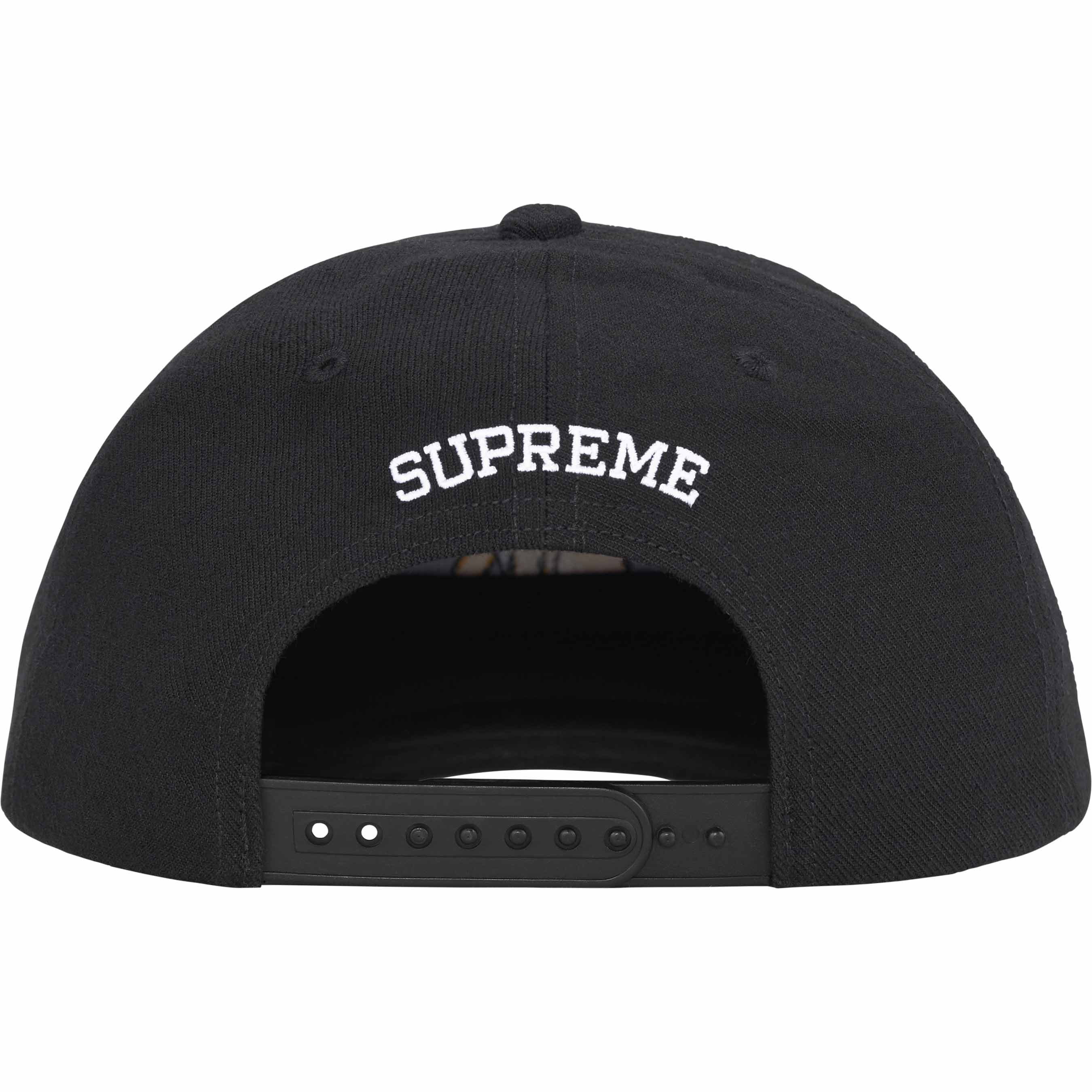 Melvins 6-Panel
