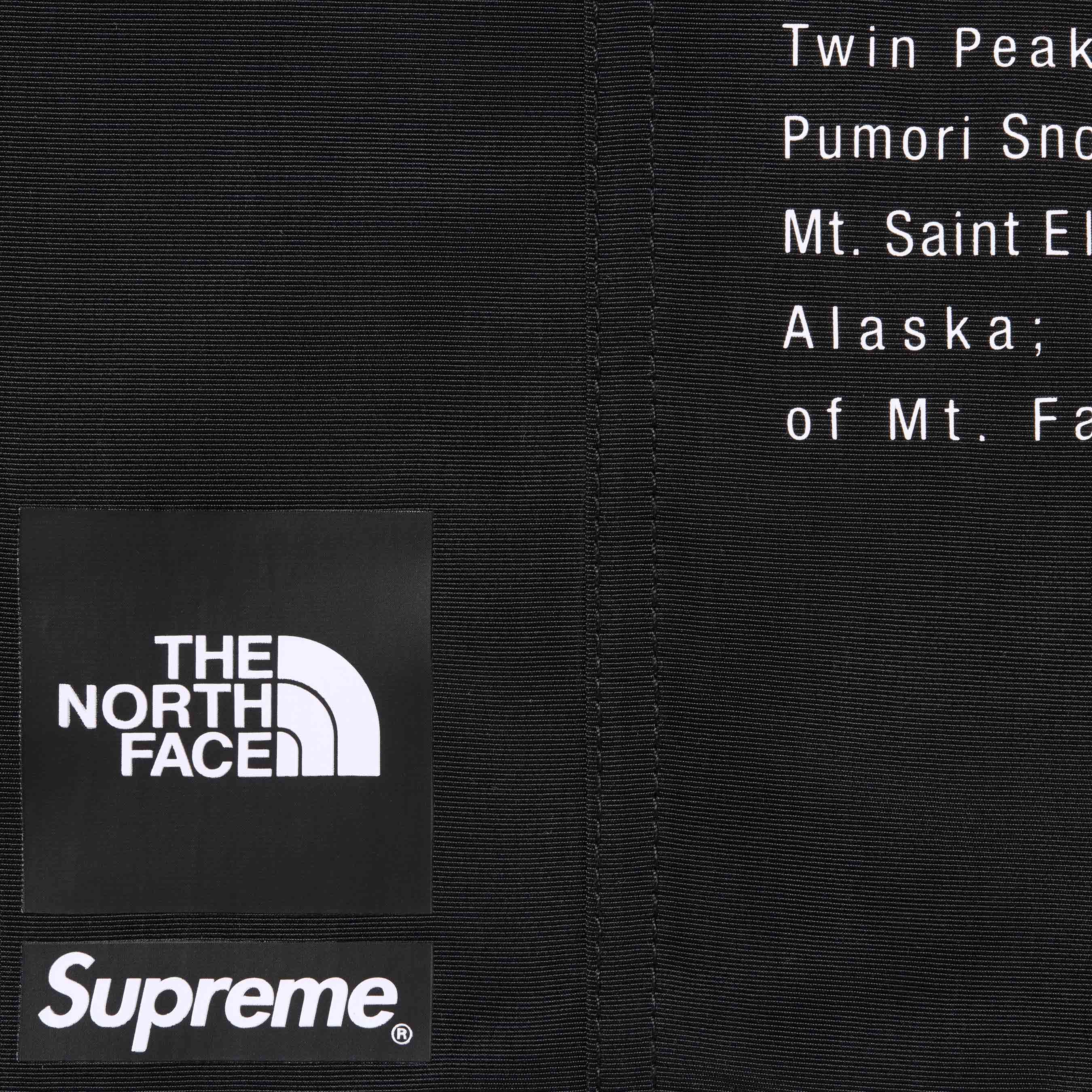 Supreme®/The North Face® Nylon Short