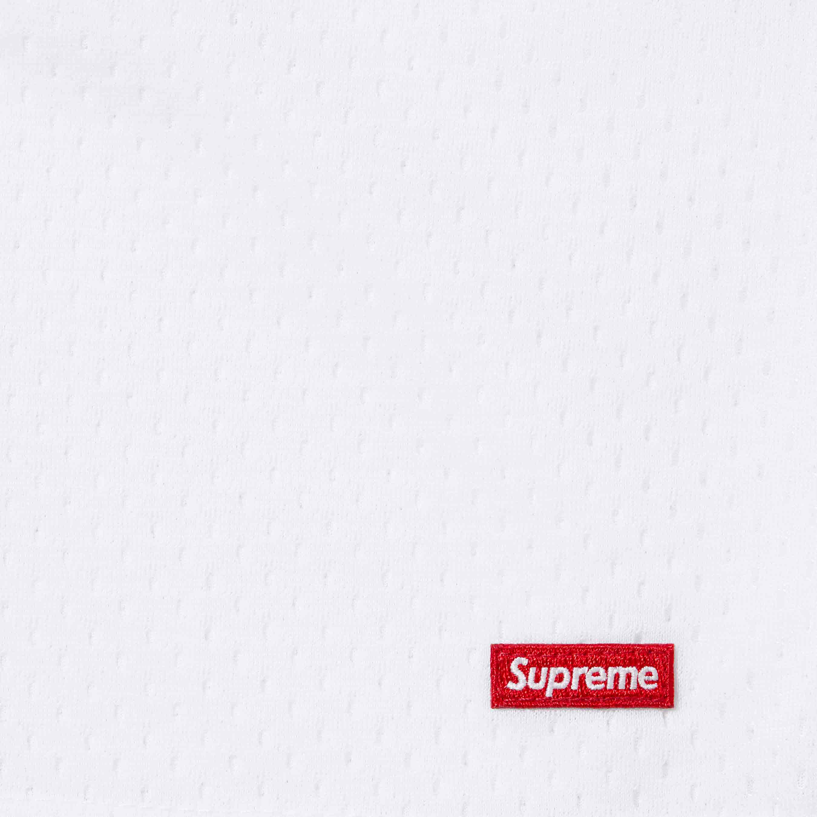 Small Box Baggy Mesh Short
