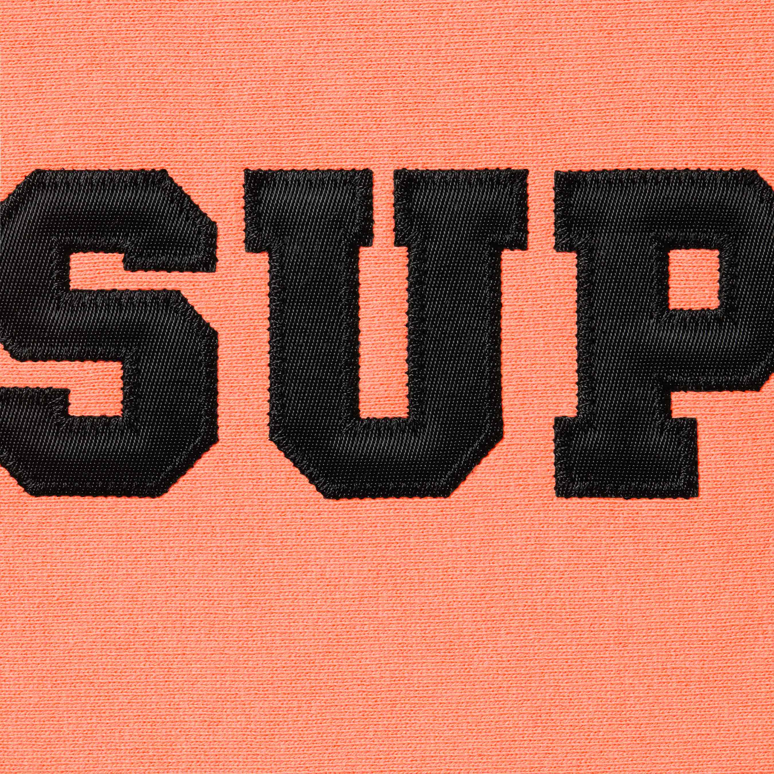 Collegiate Hooded Sweatshirt