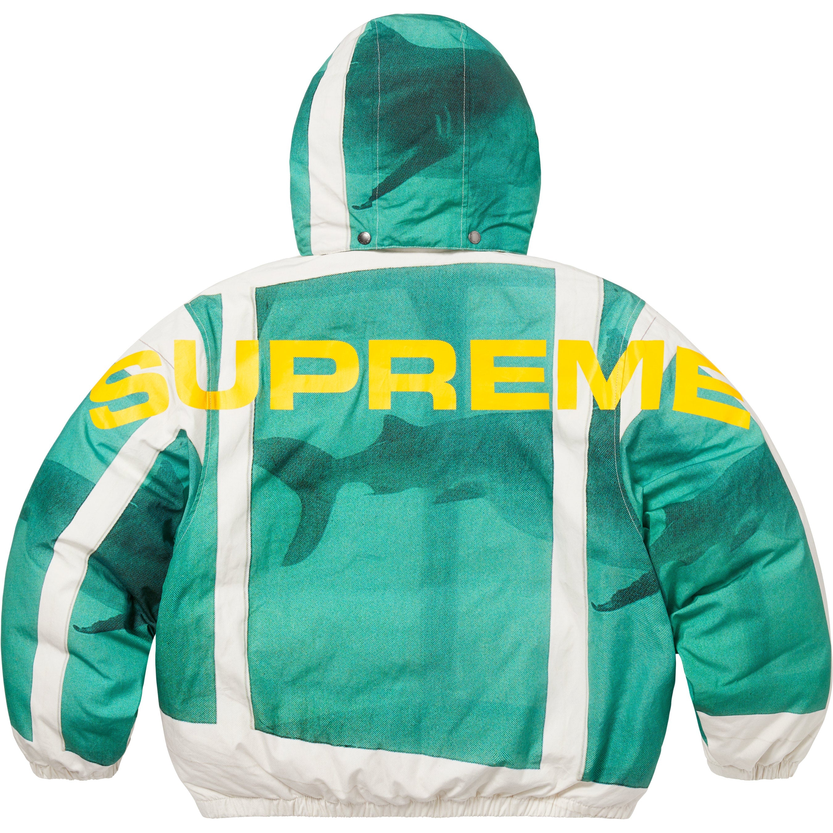Supreme/Damien Hirst Down Puffer Jacket