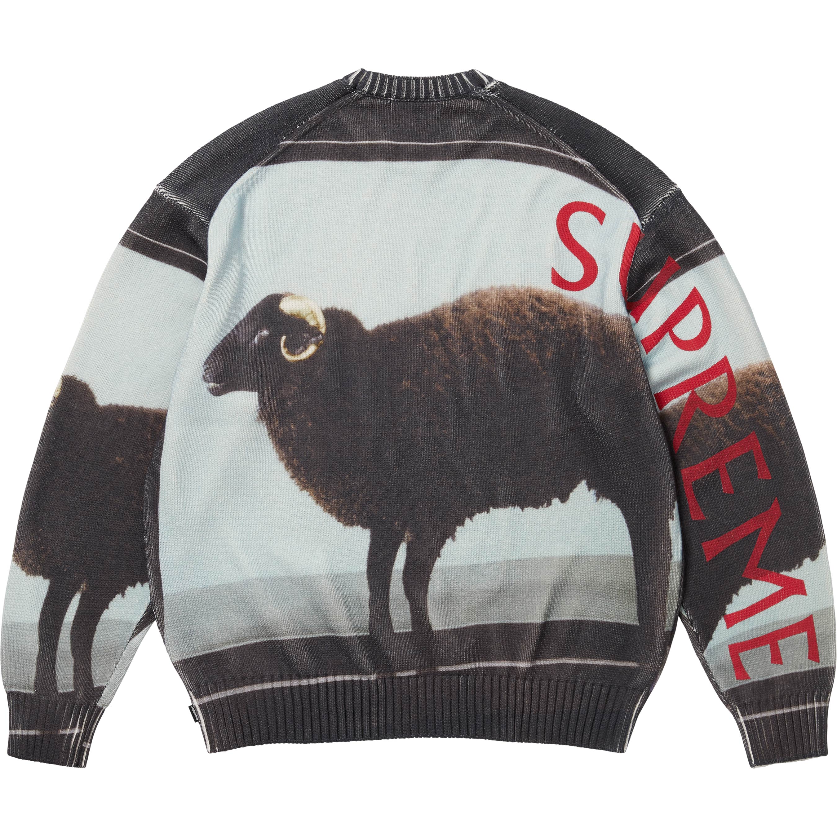Supreme/Damien Hirst Sweater