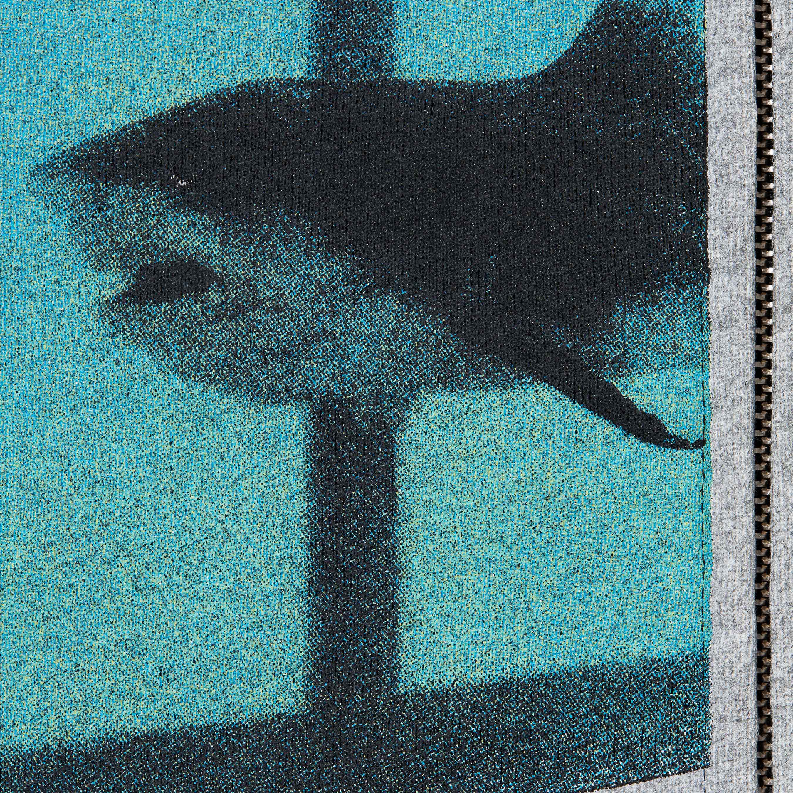 Supreme/Damien Hirst Zip Up Hooded Sweatshirt