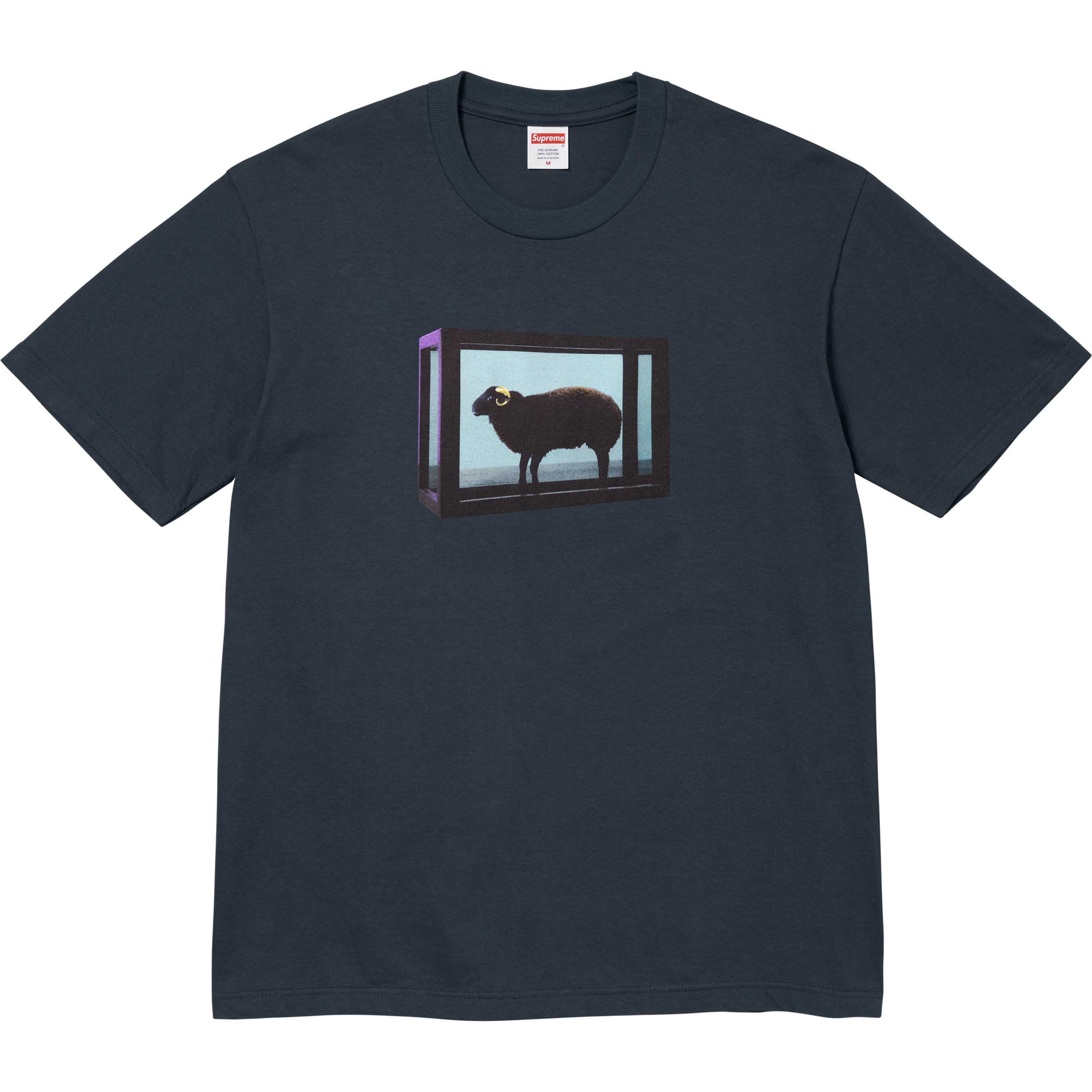 Supreme/Damien Hirst Tee