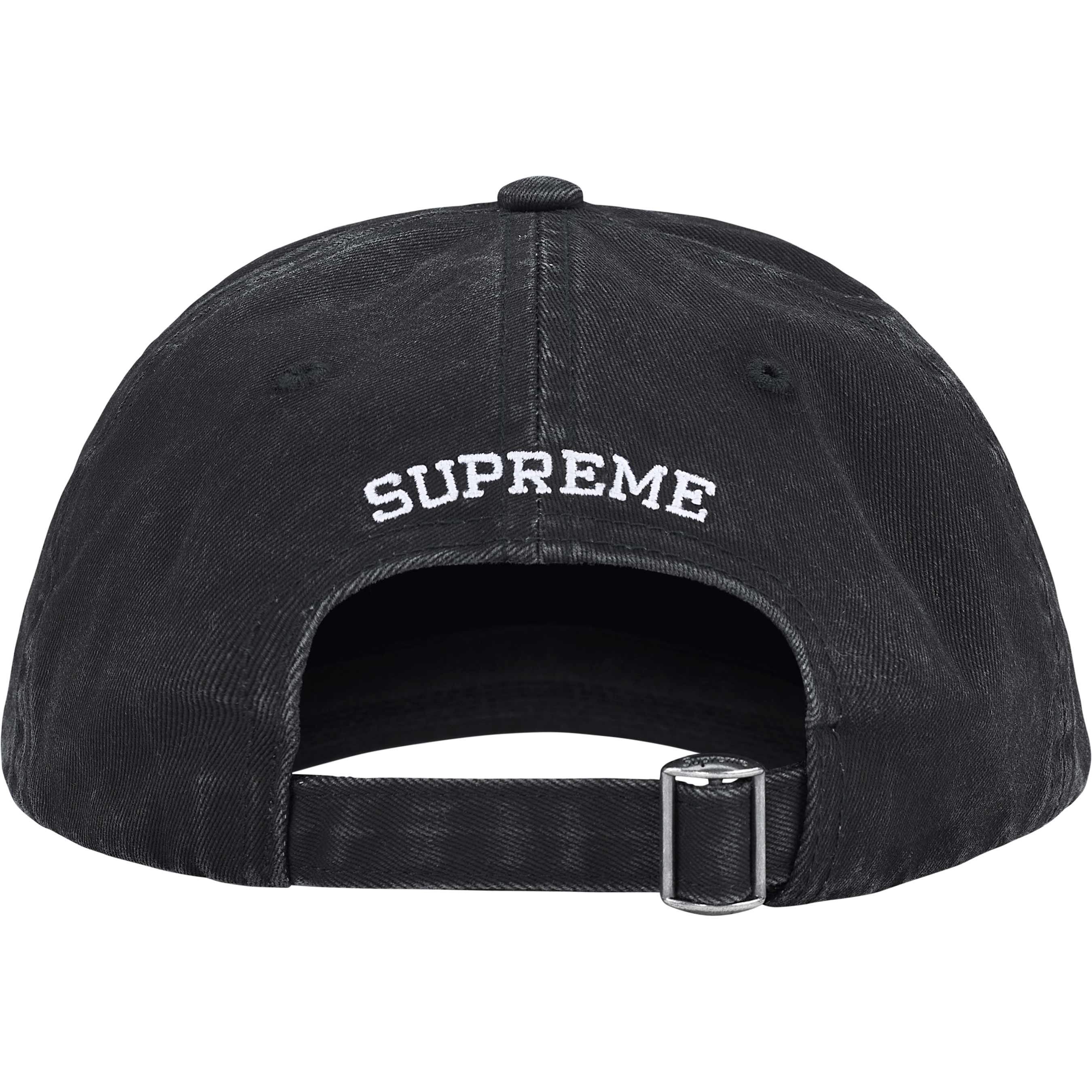 License Plate 6-Panel