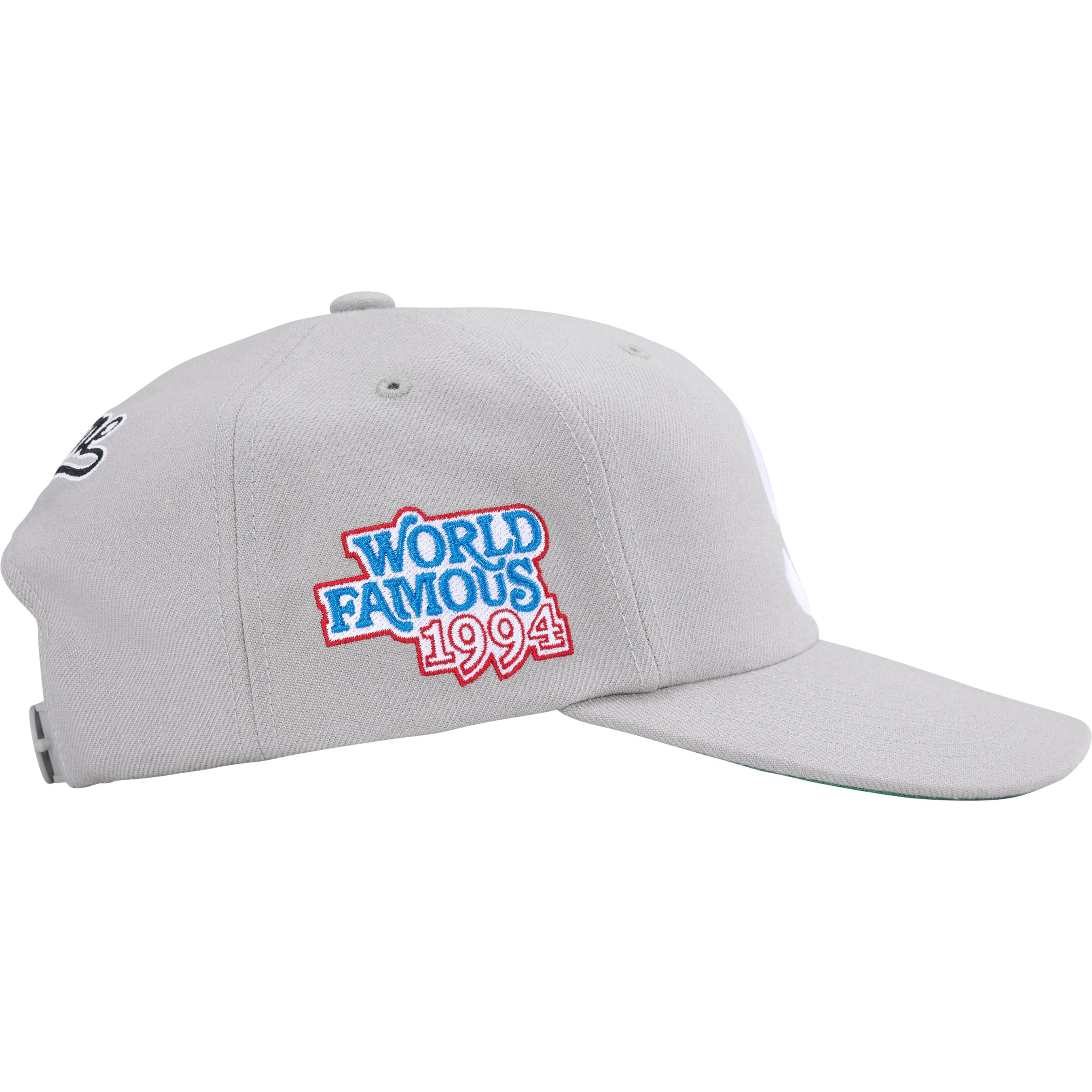 World Famous S Logo 6-Panel