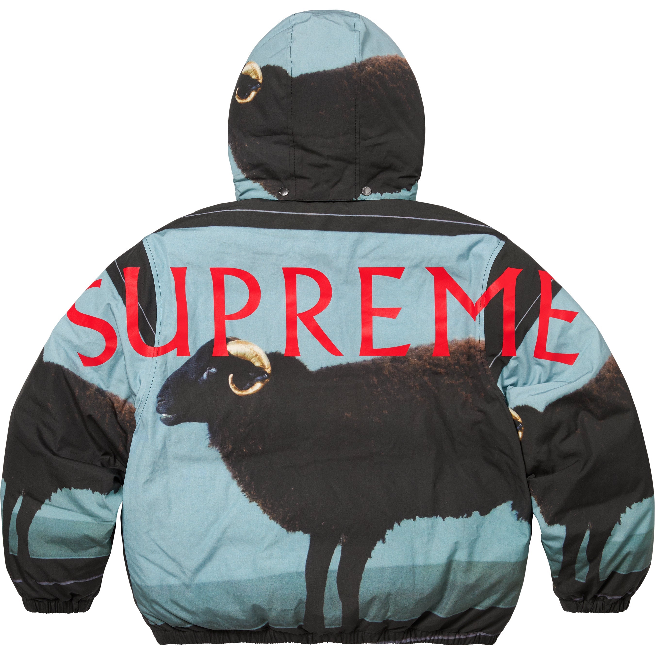 Supreme/Damien Hirst Down Puffer Jacket