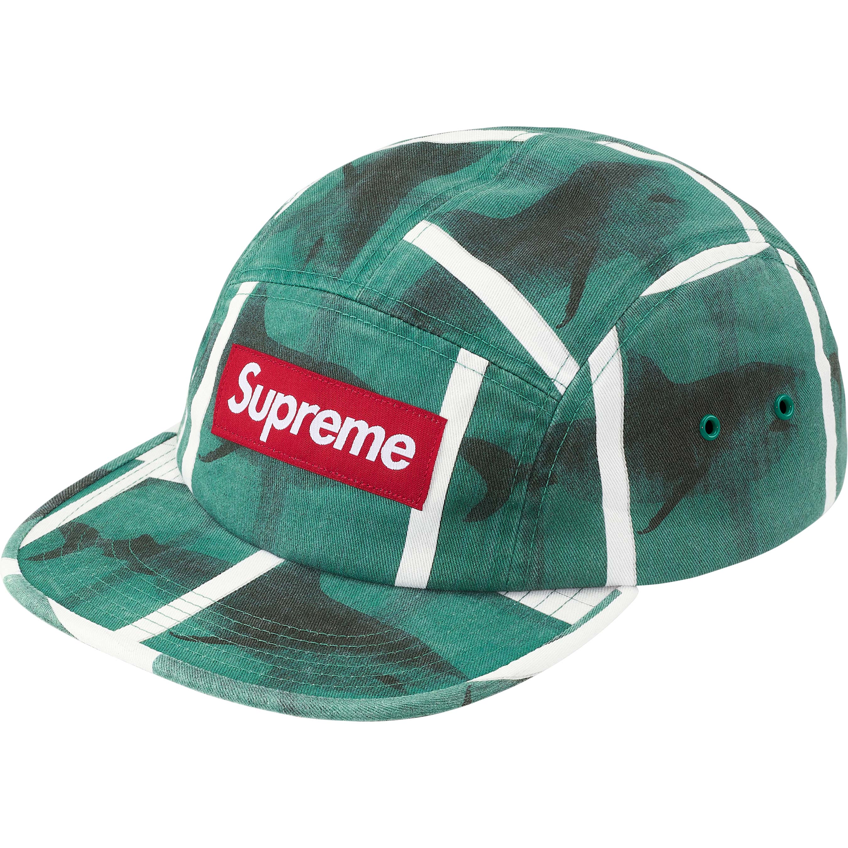 Supreme/Damien Hirst Camp Cap