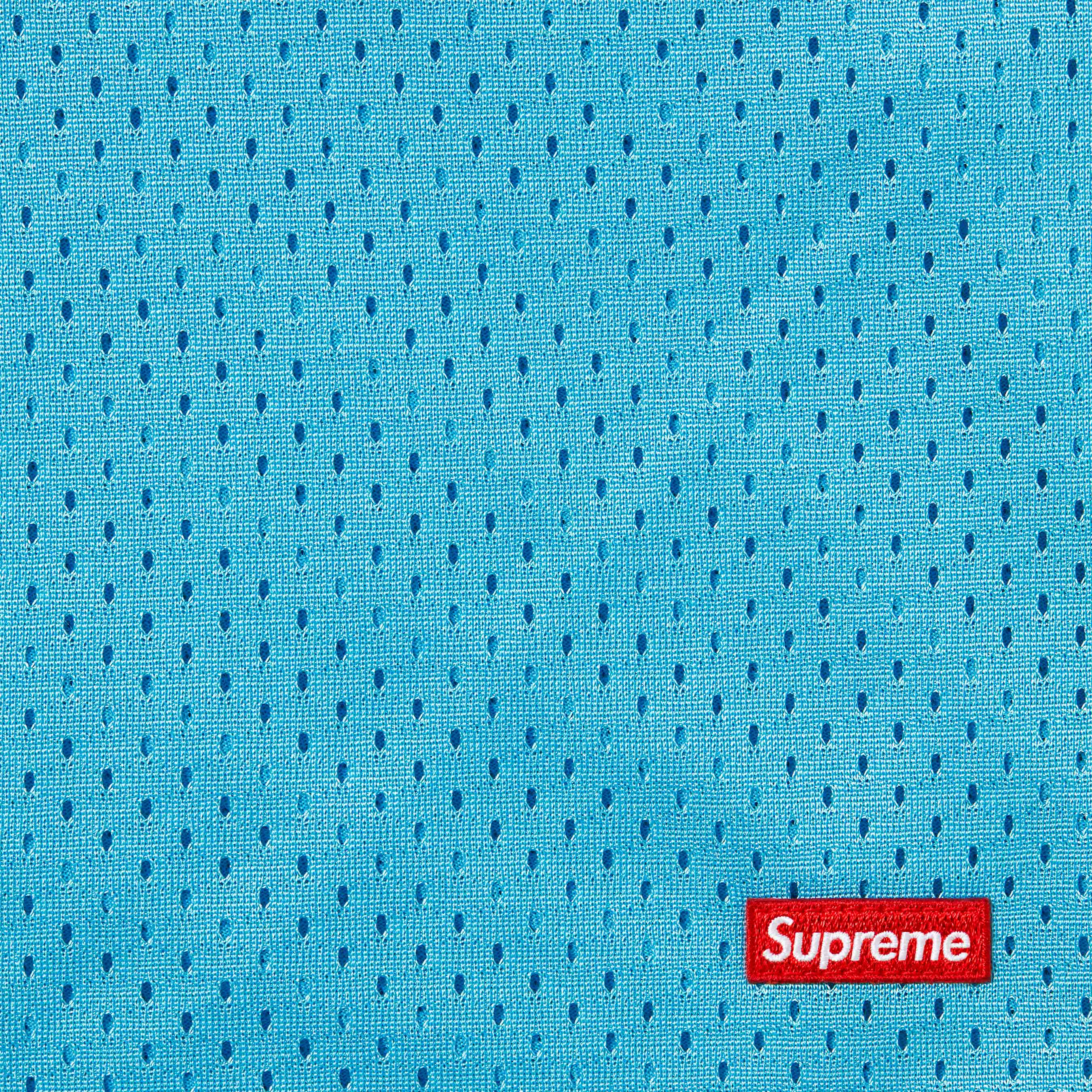 Small Box Baggy Mesh Short