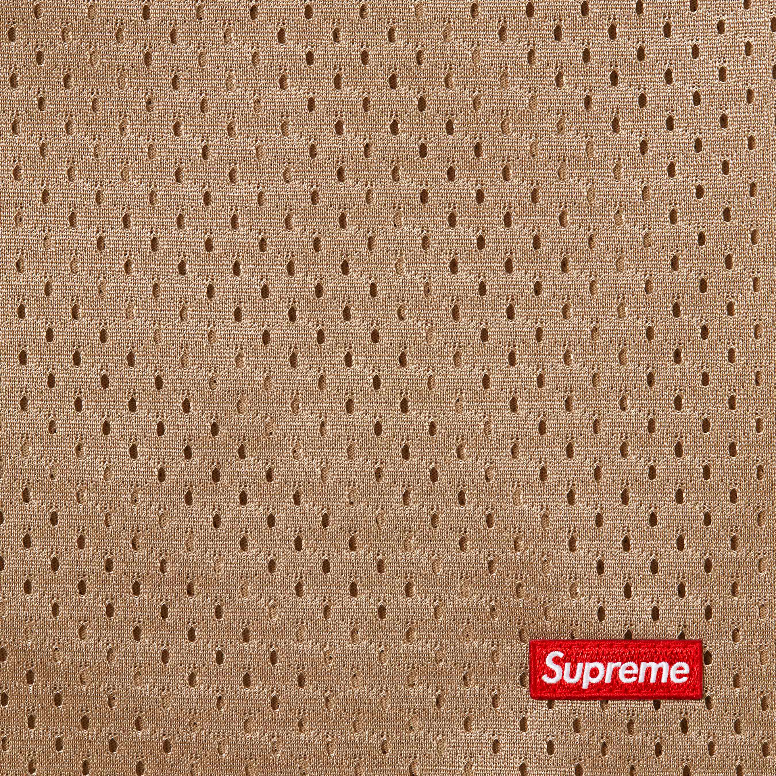 Small Box Baggy Mesh Short