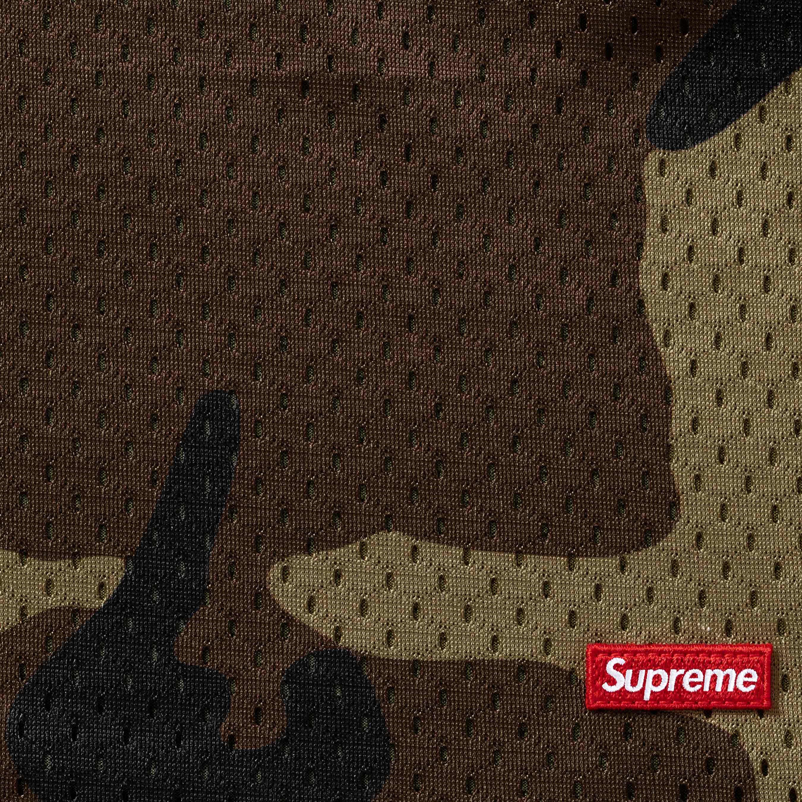 Small Box Baggy Mesh Short