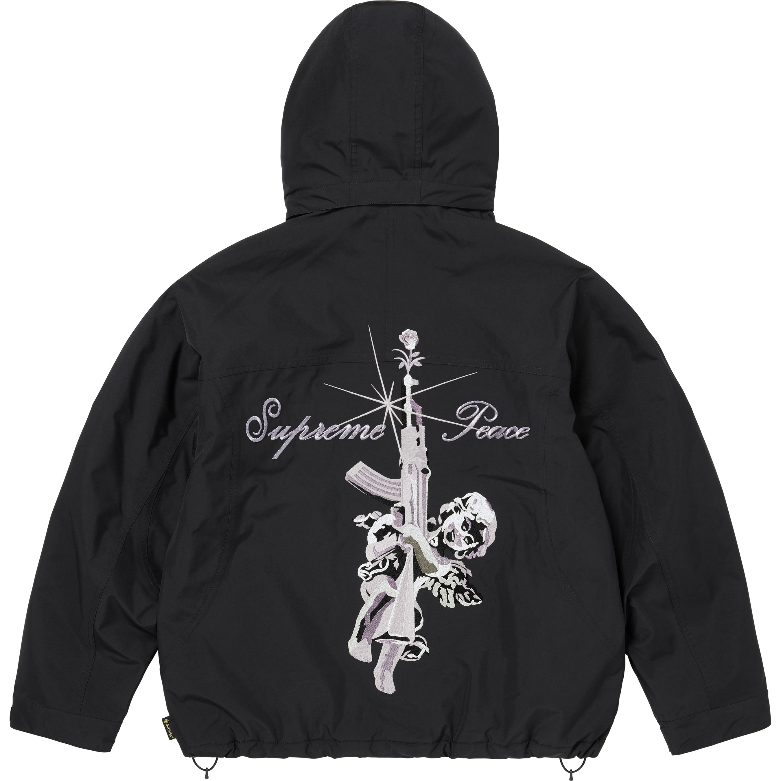 AOI GORE-TEX Hooded Jacket