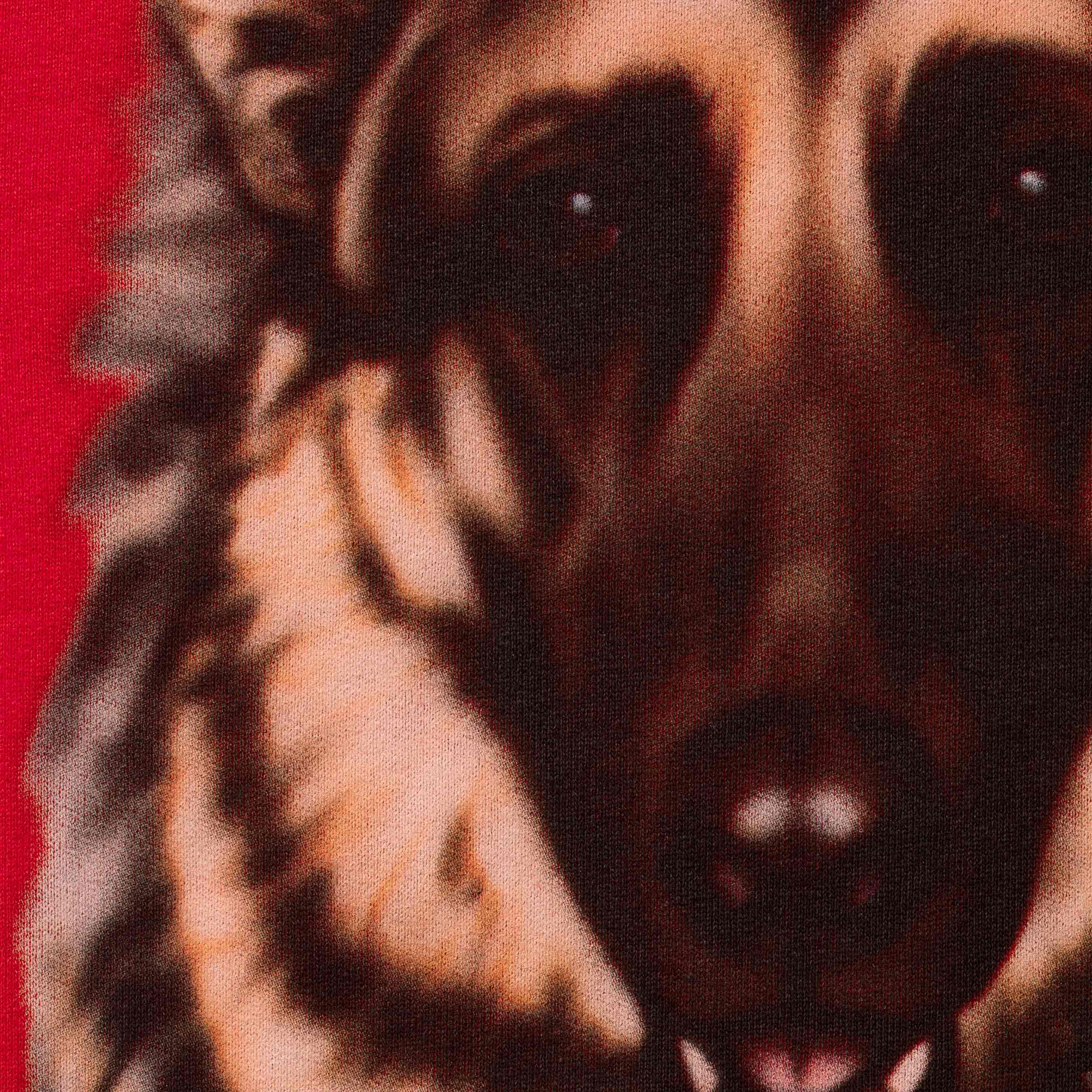 Dogs Hooded Sweatshirt