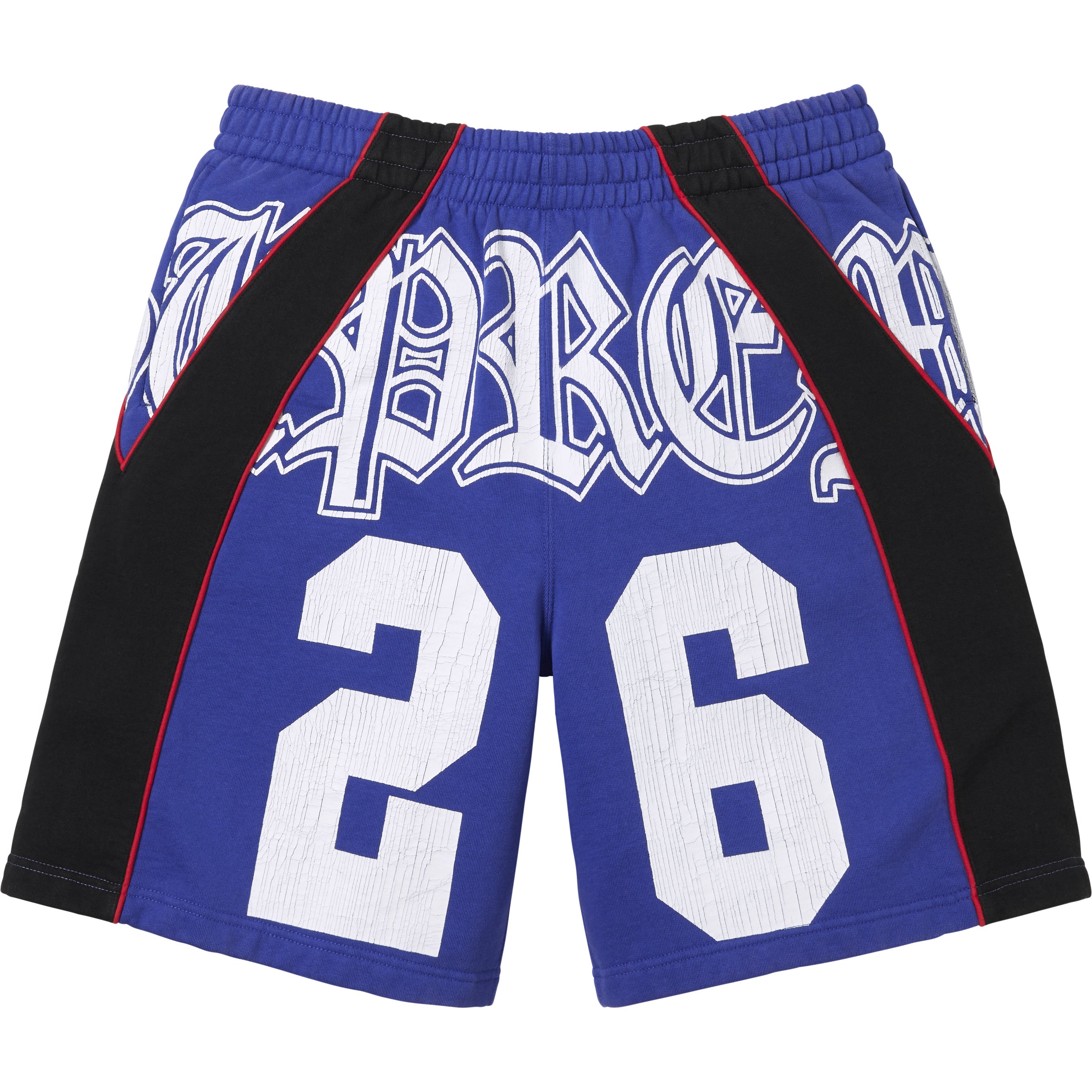 Paneled Sweatshort