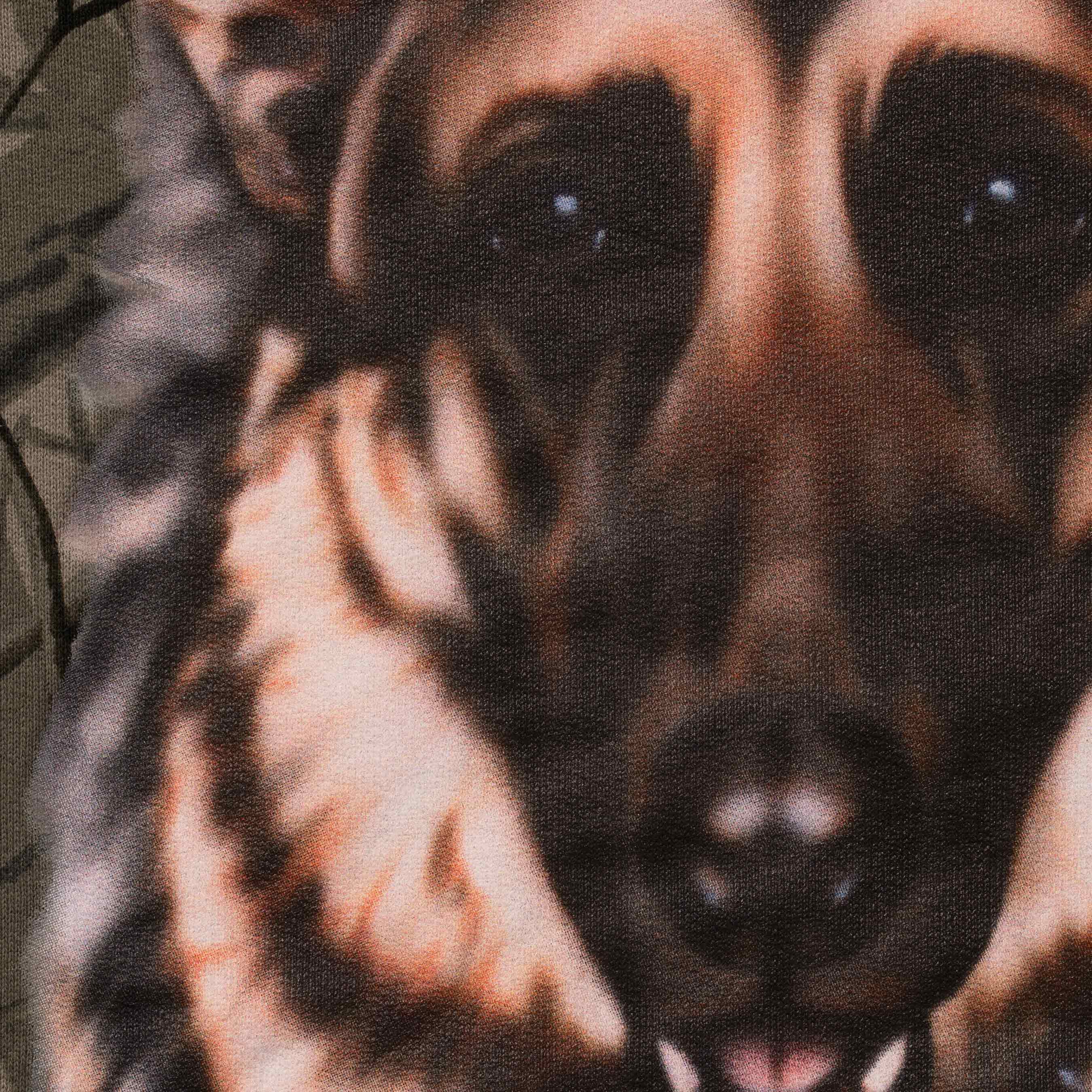 Dogs Hooded Sweatshirt