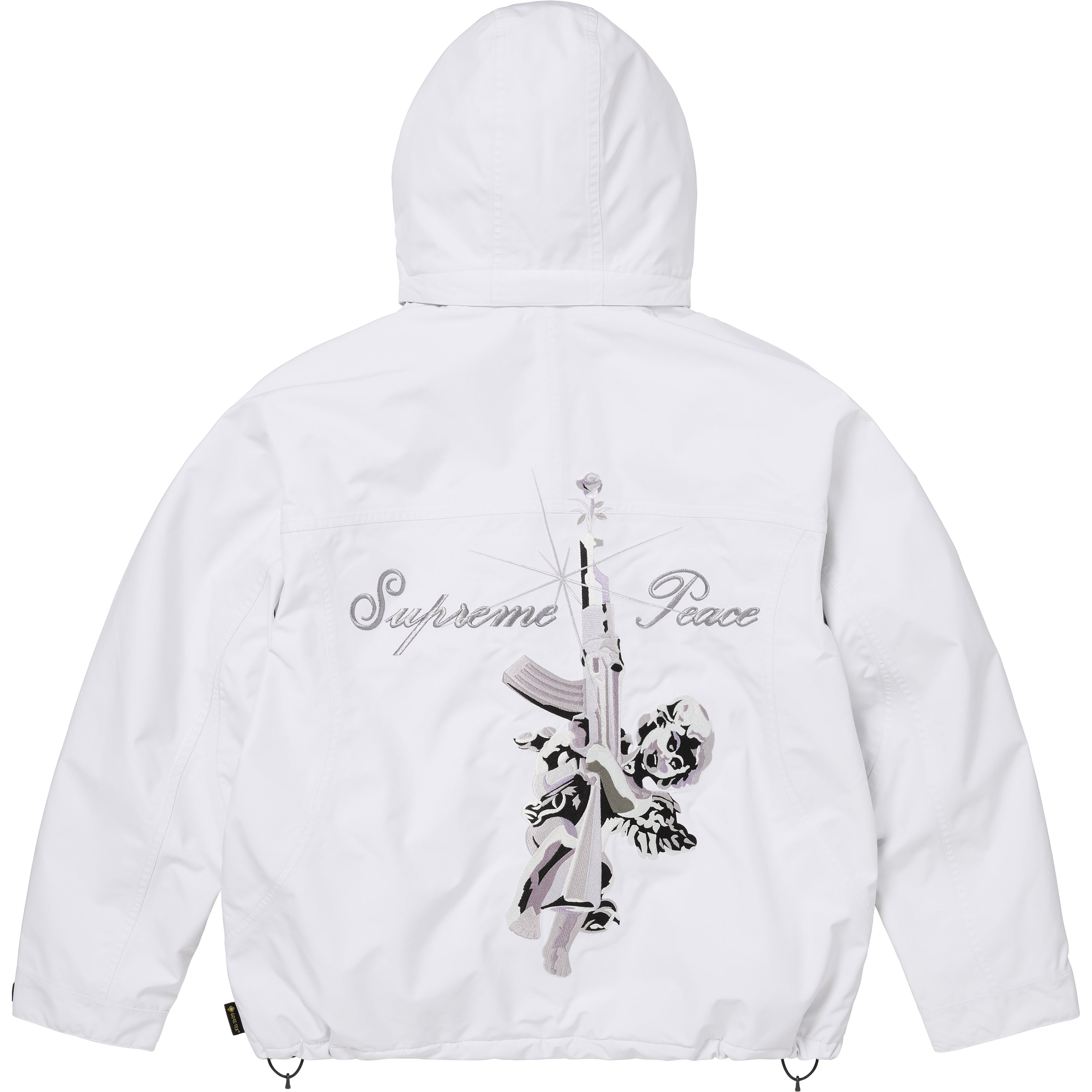 AOI GORE-TEX Hooded Jacket
