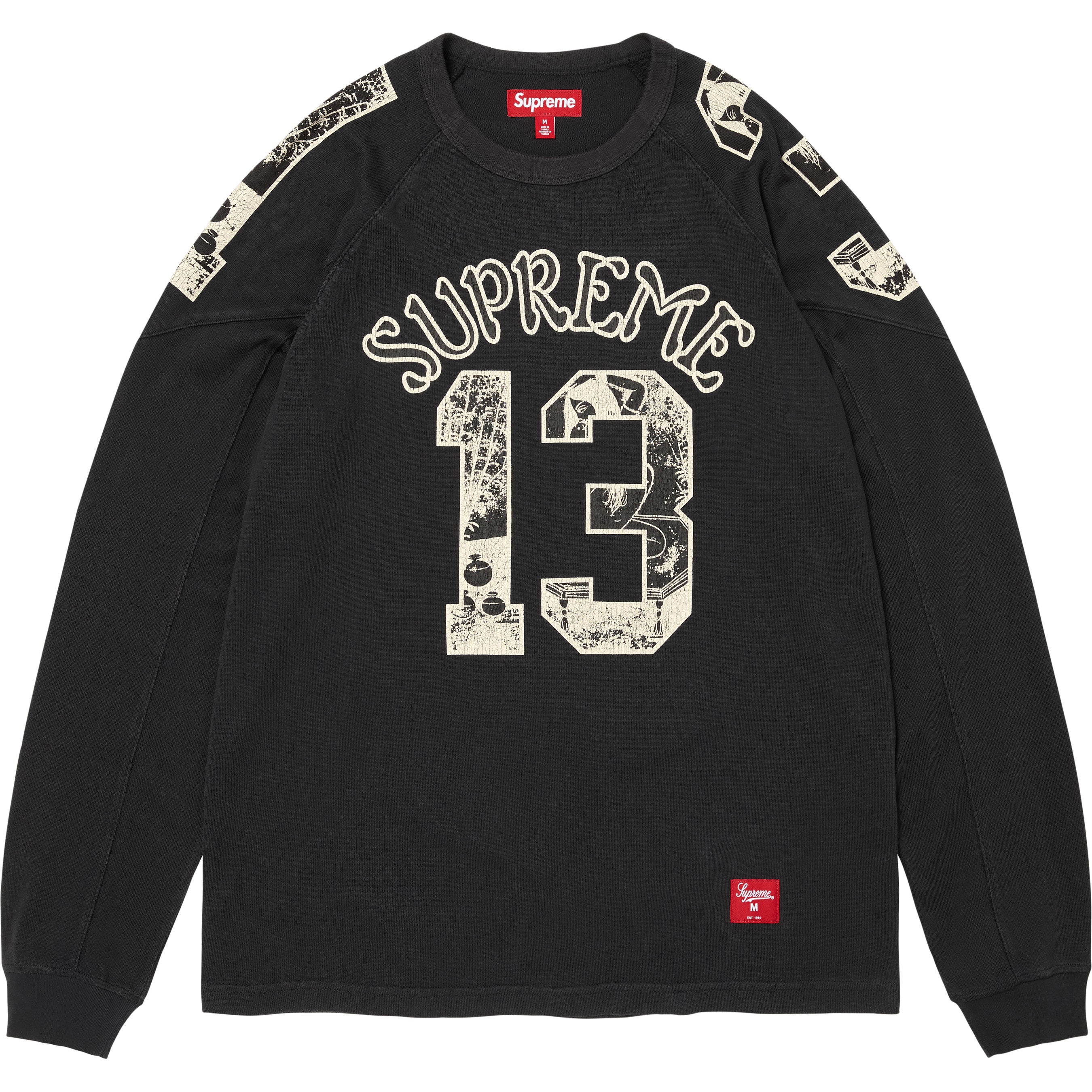 Paneled Raglan L/S Top
