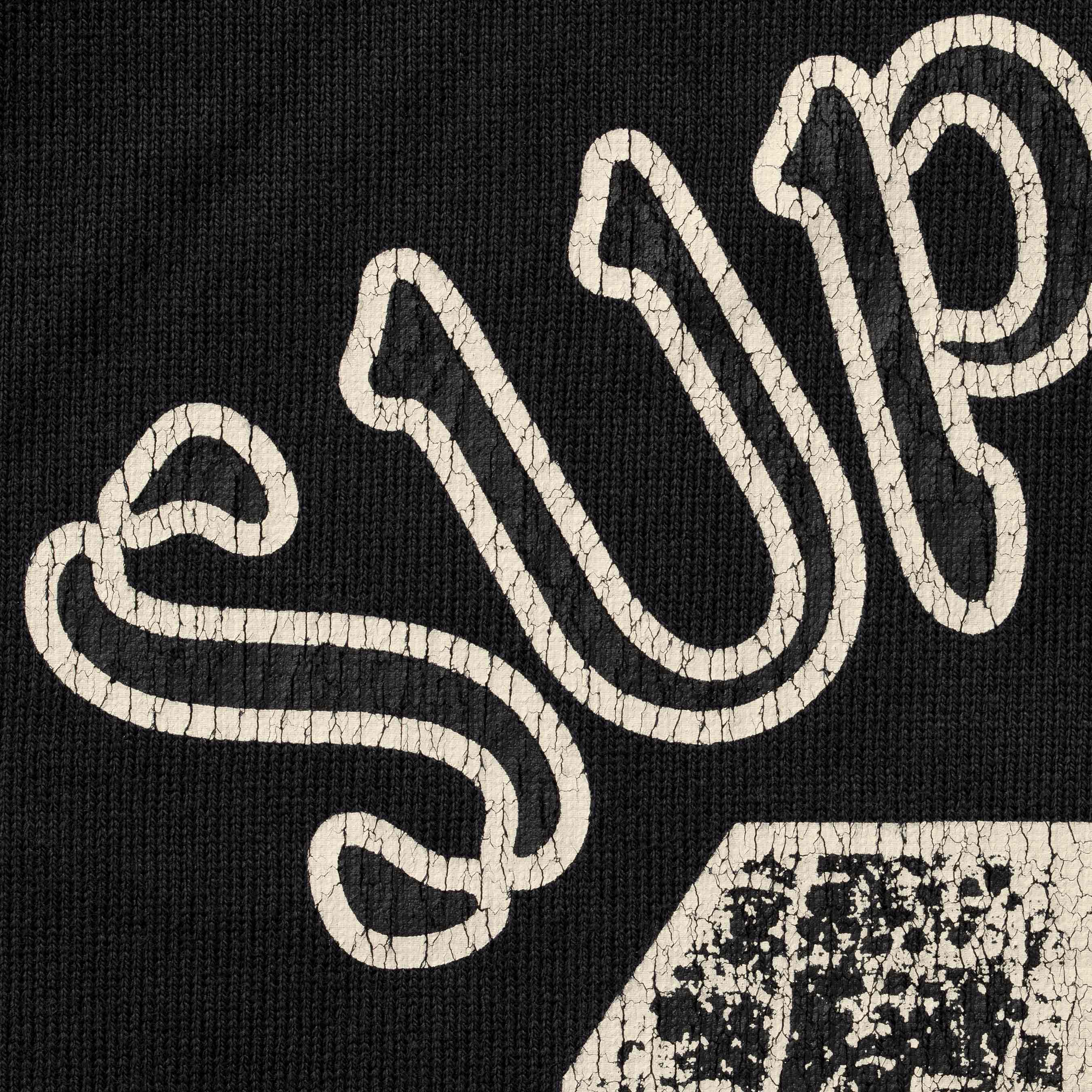 Paneled Raglan L/S Top