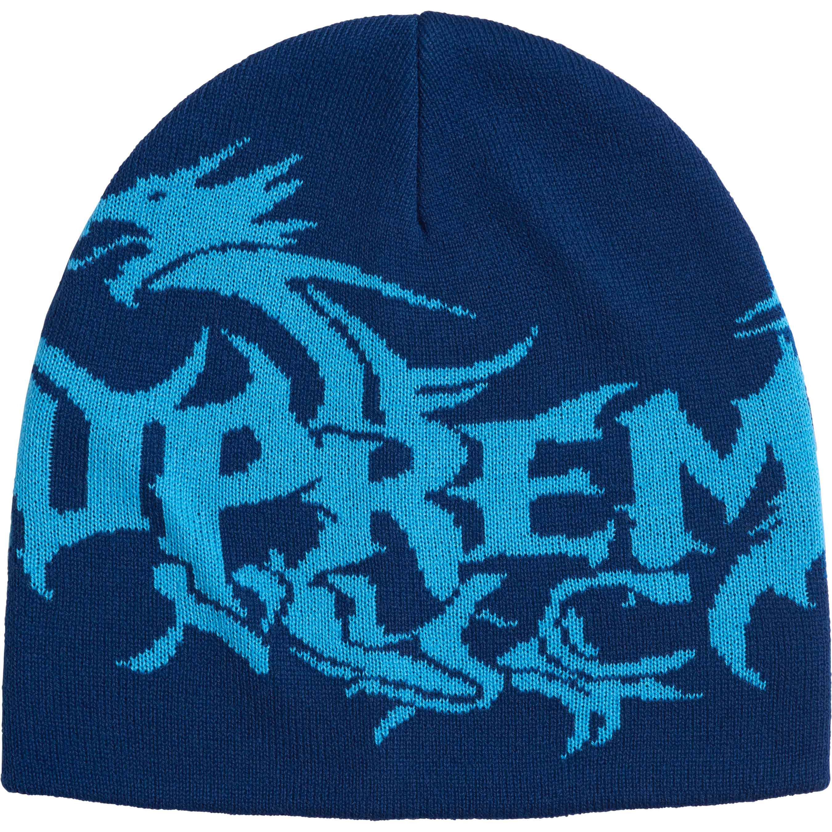 Dragon Beanie